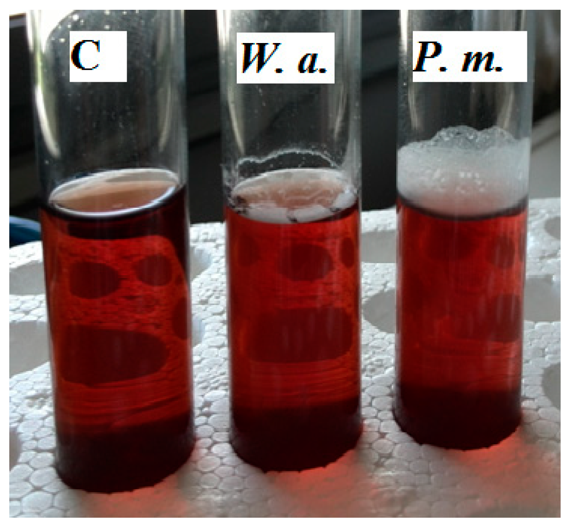 Foods 09 00941 g004 Foods 09 00941 g004