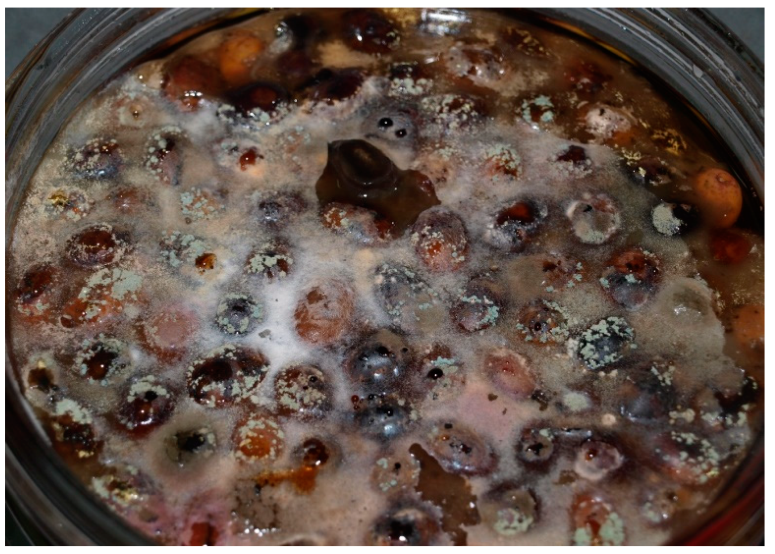 Foods 09 00941 g0a2 Foods 09 00941 g0a2