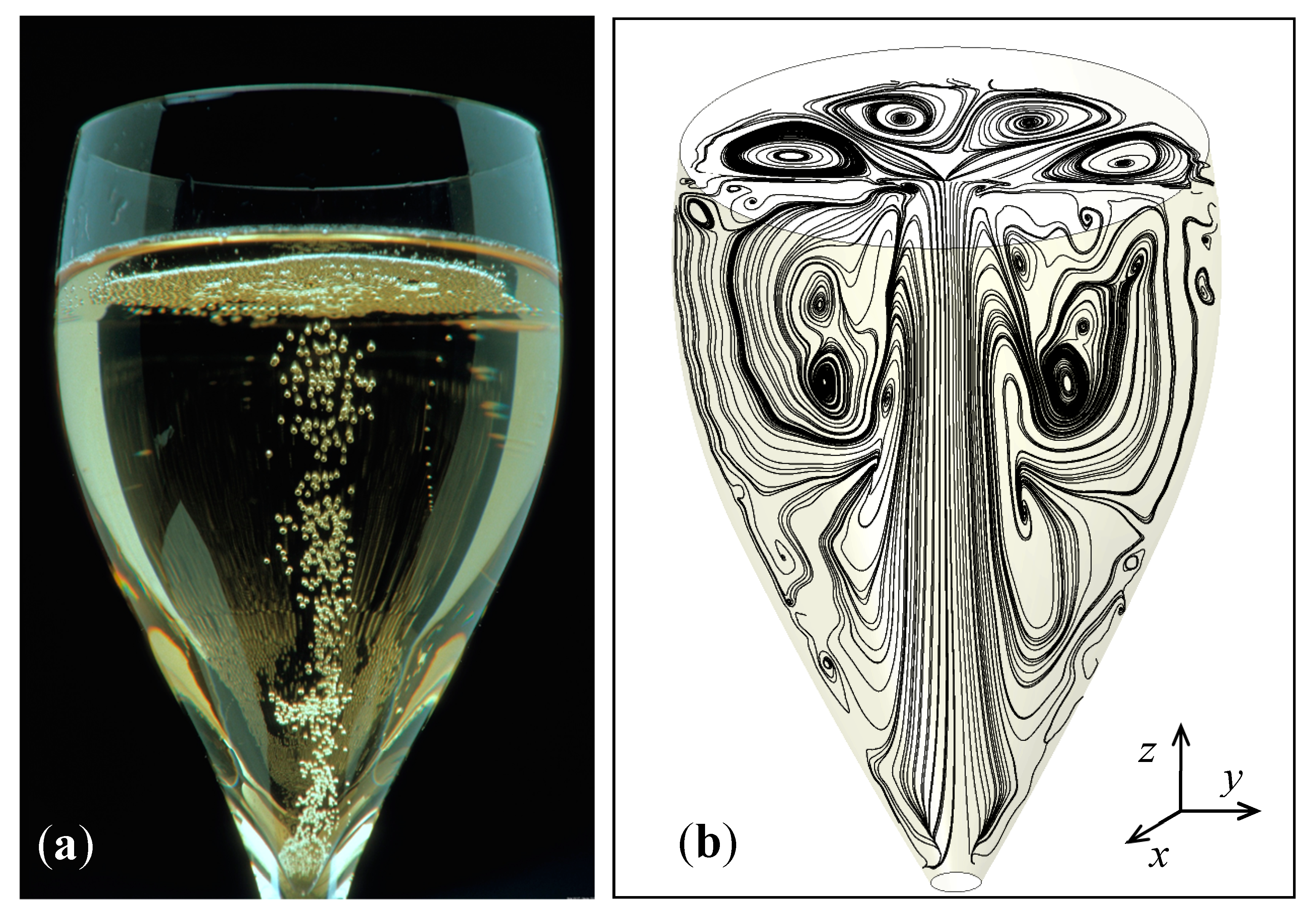 We finally know why bubbles rise in a straight line in champagne