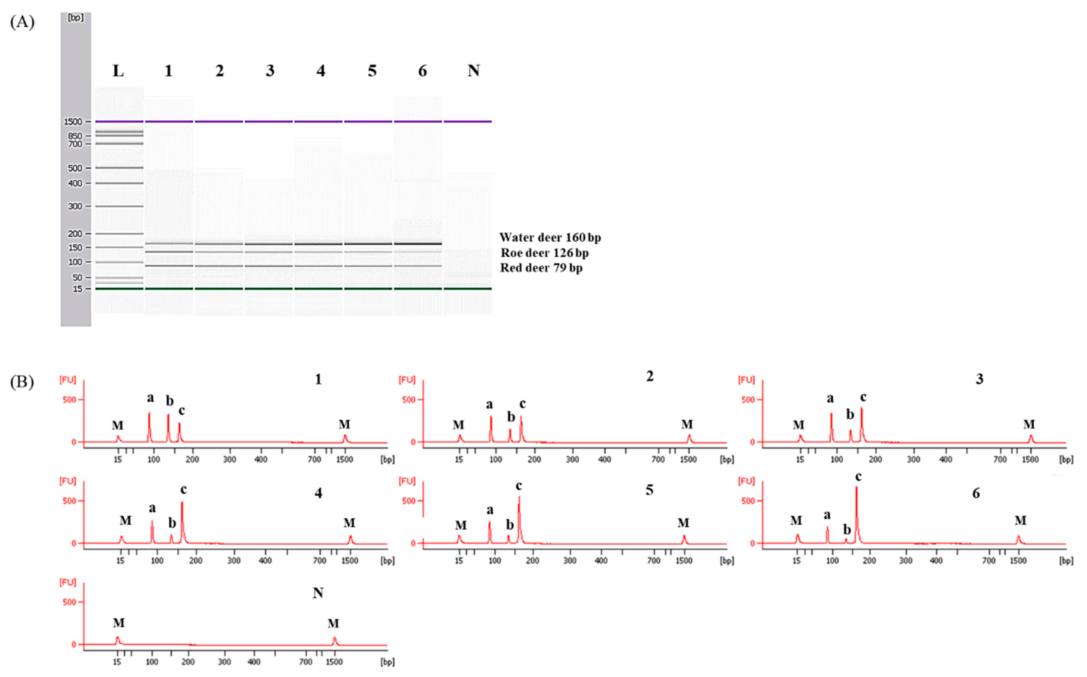 Foods 09 00982 g005 Foods 09 00982 g005