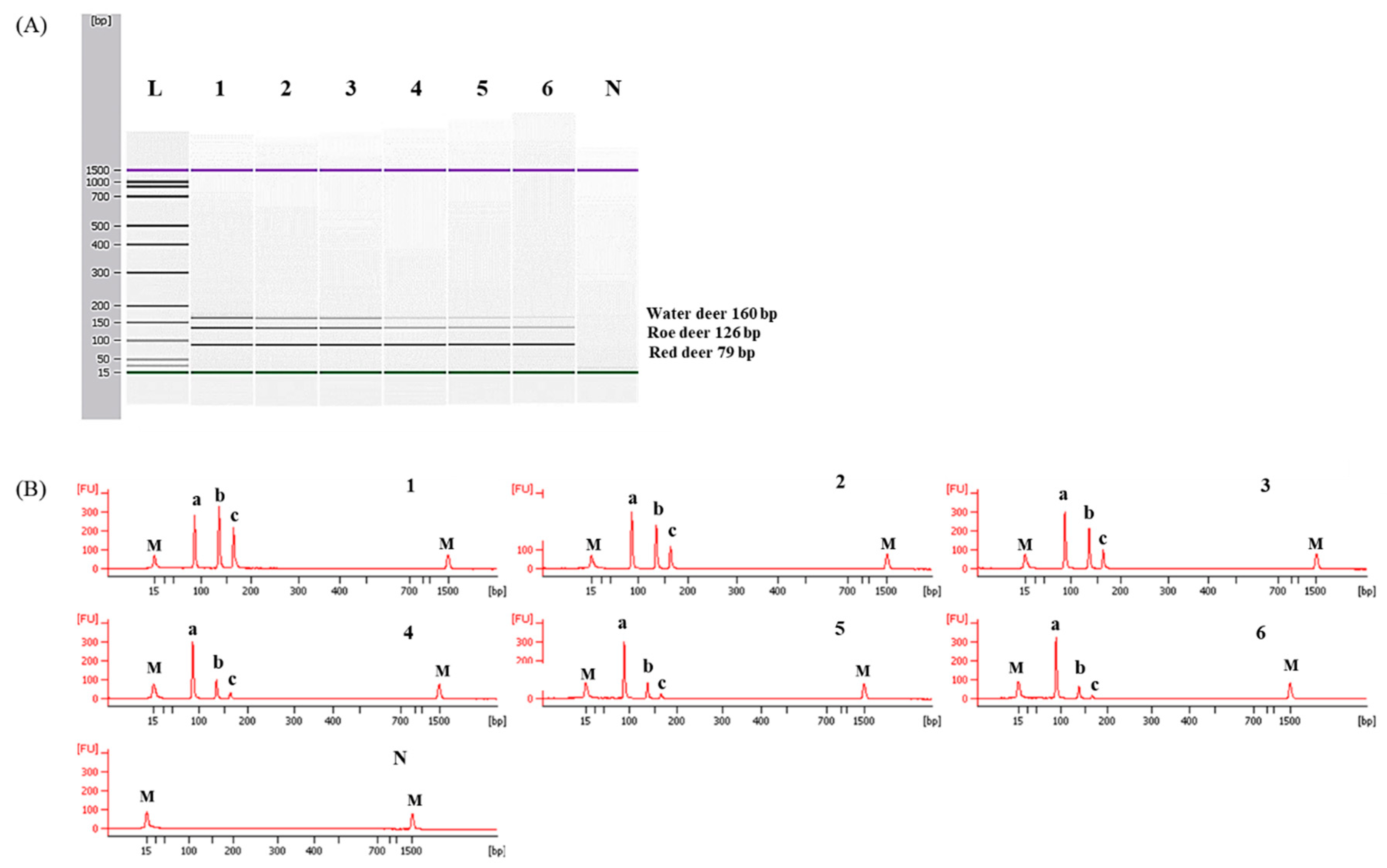 Foods 09 00982 g006 Foods 09 00982 g006