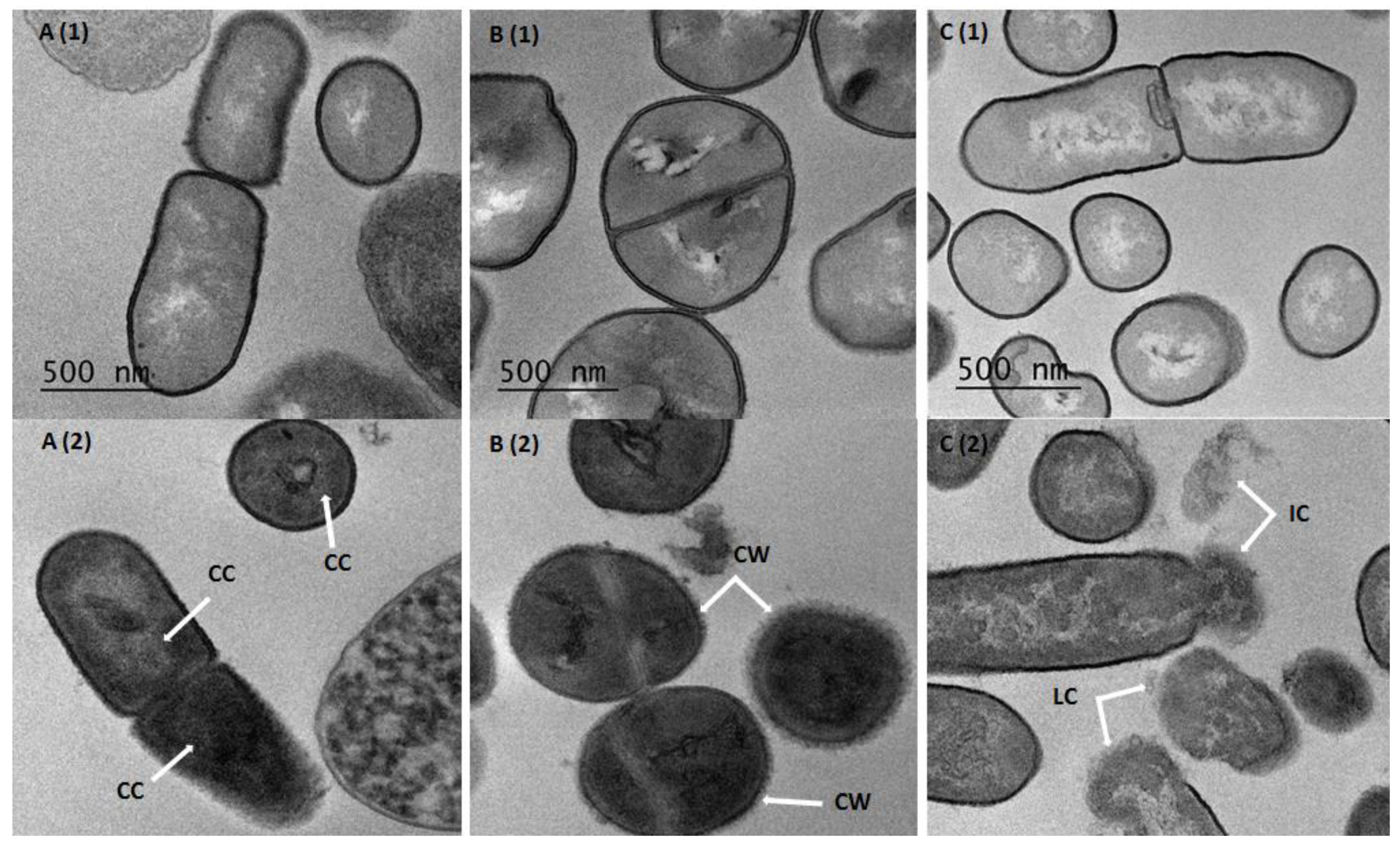 Foods 09 00985 g003 Foods 09 00985 g003