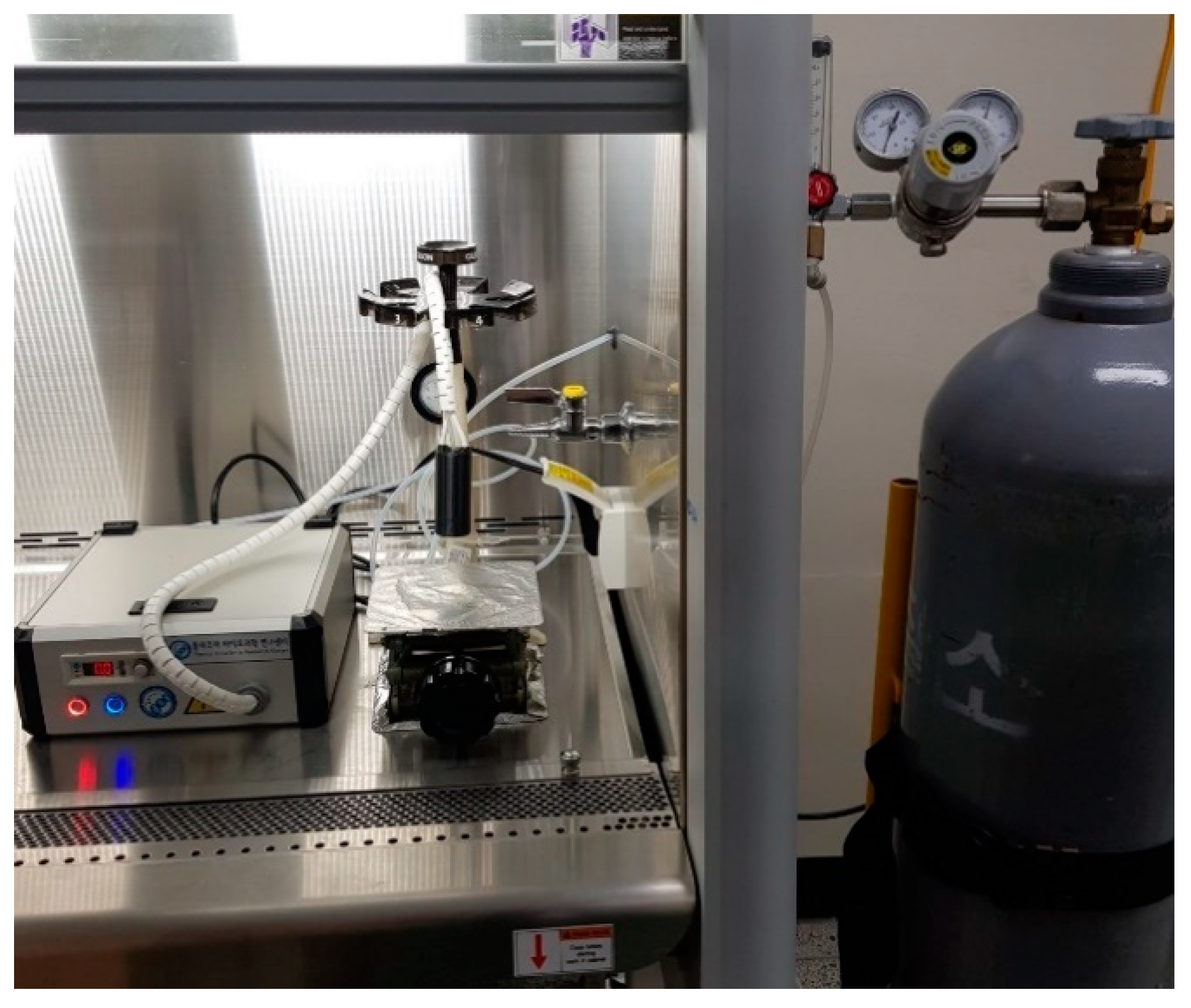 Foods 09 01013 g002 Foods 09 01013 g002