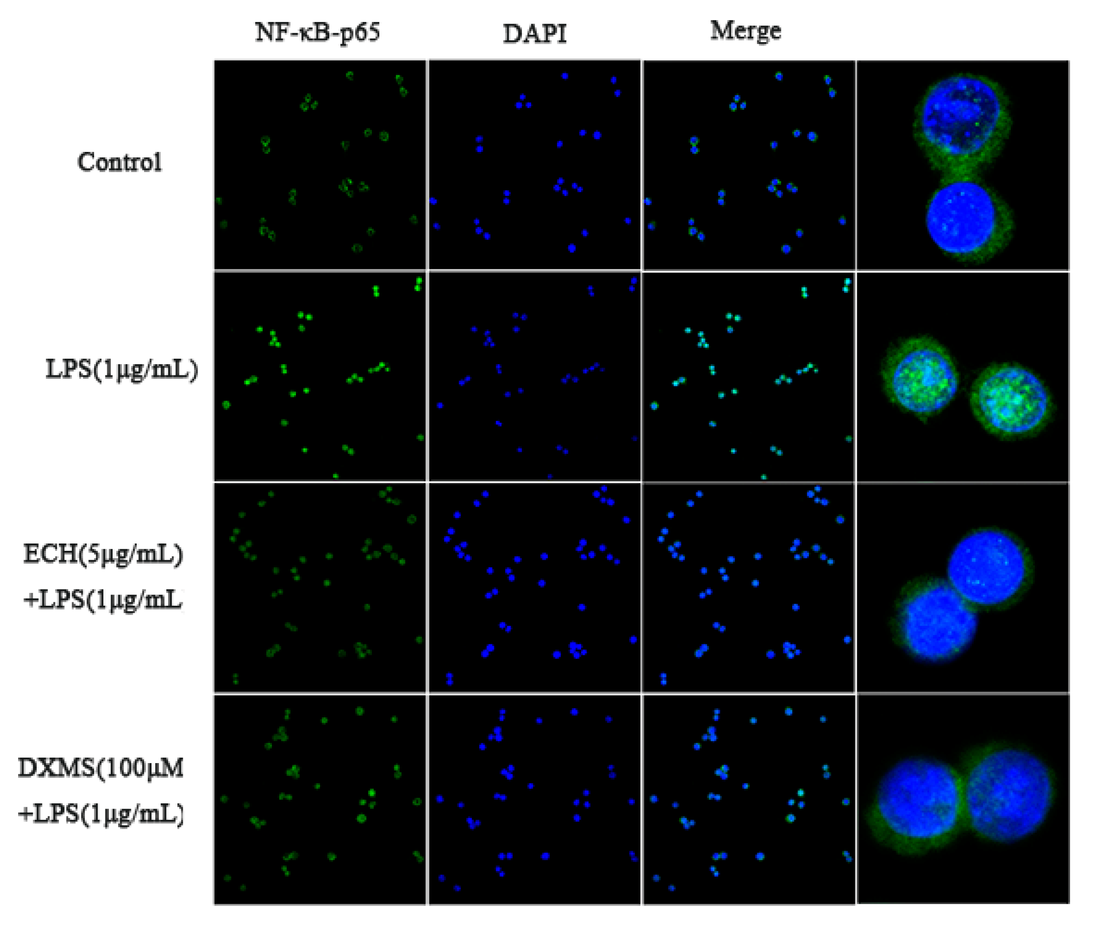 Foods 09 01039 g005 Foods 09 01039 g005