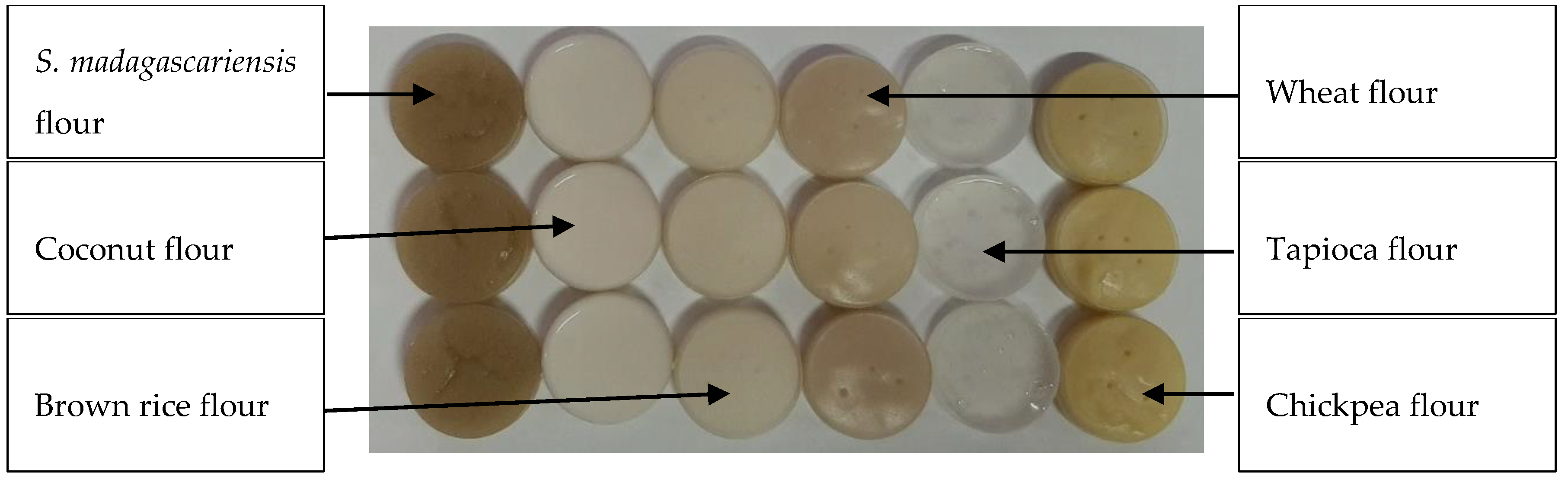 Foods 09 01060 g004 Foods 09 01060 g004