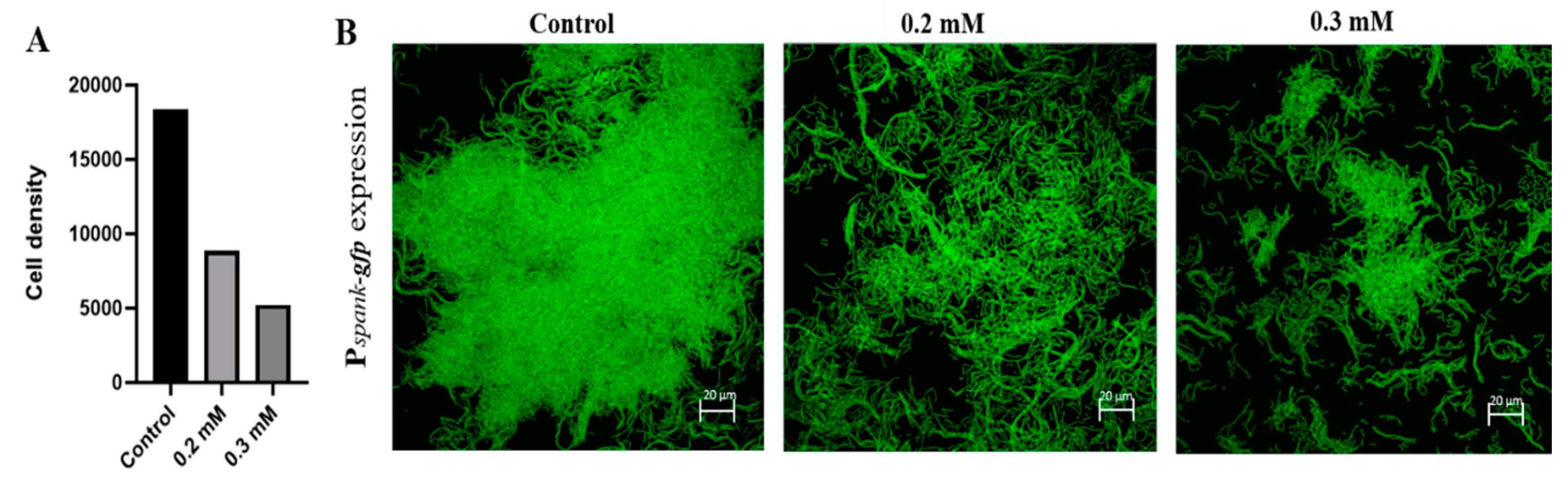 Foods 09 01094 g001 Foods 09 01094 g001