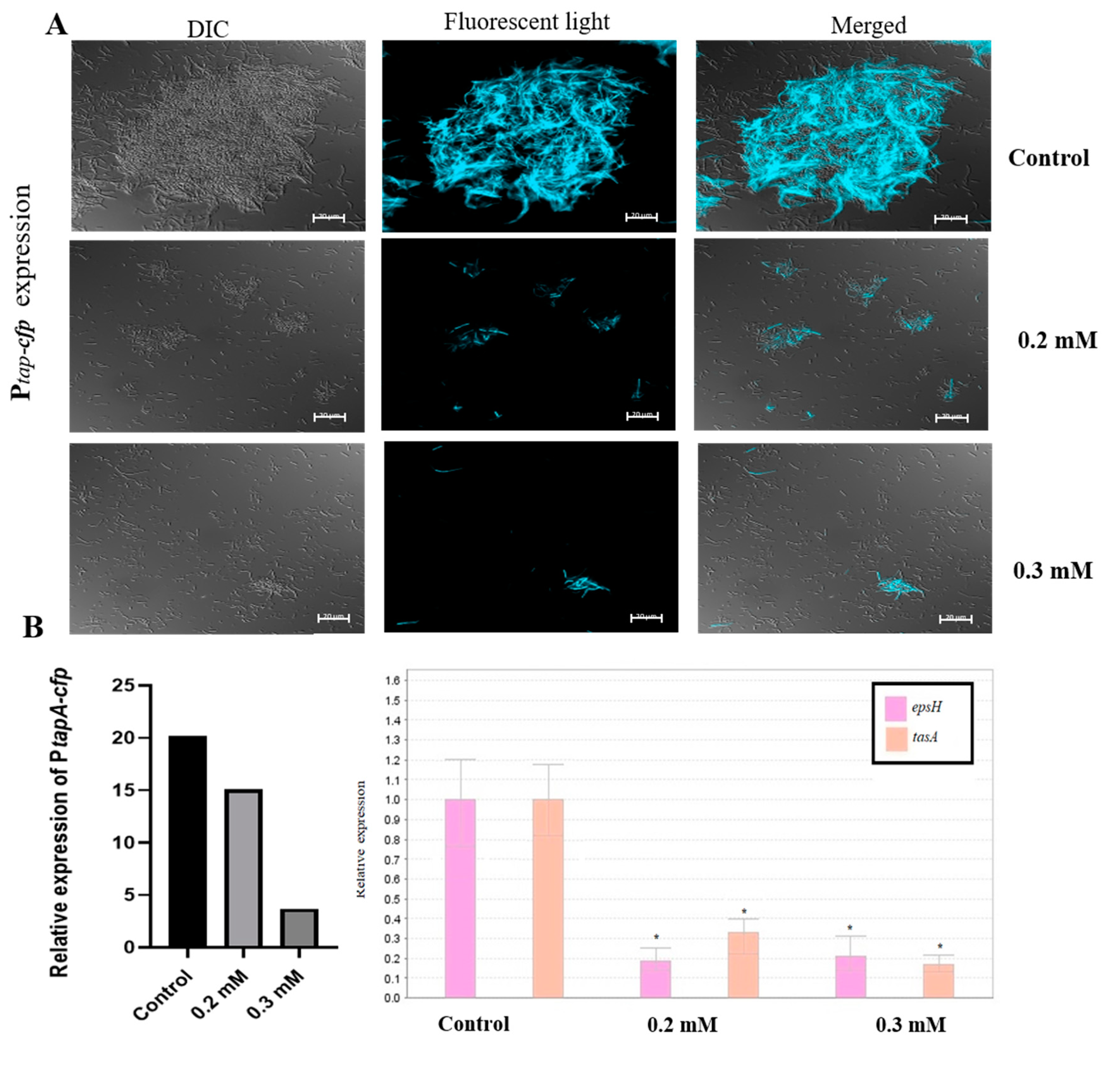 Foods 09 01094 g002 Foods 09 01094 g002