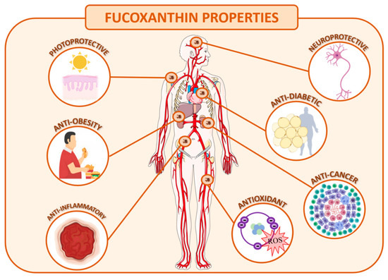Pharmacological Functions of Fucoxanthin Powder Pharmacological Functions of Fucoxanthin Powder