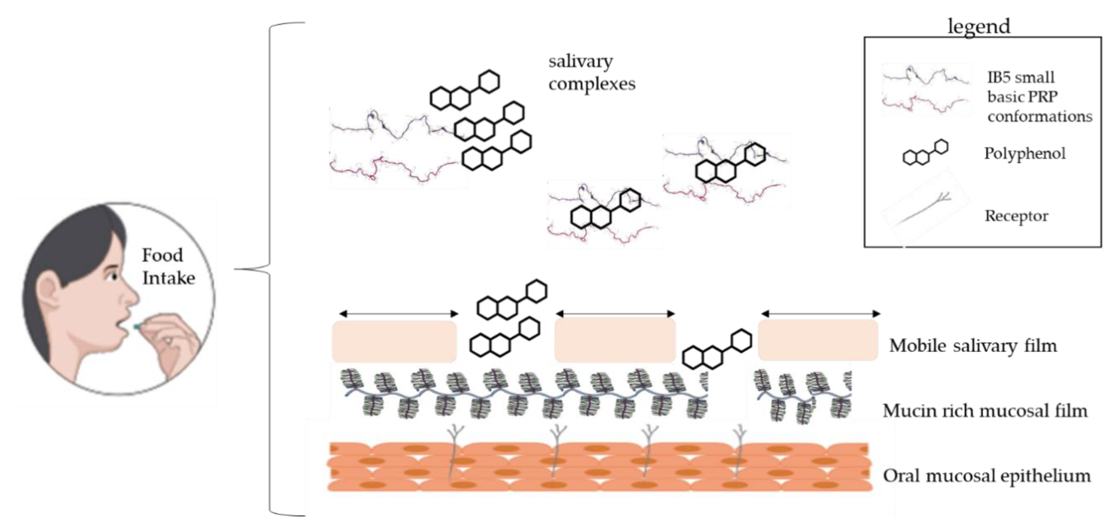 Foods 09 01124 g001 Foods 09 01124 g001