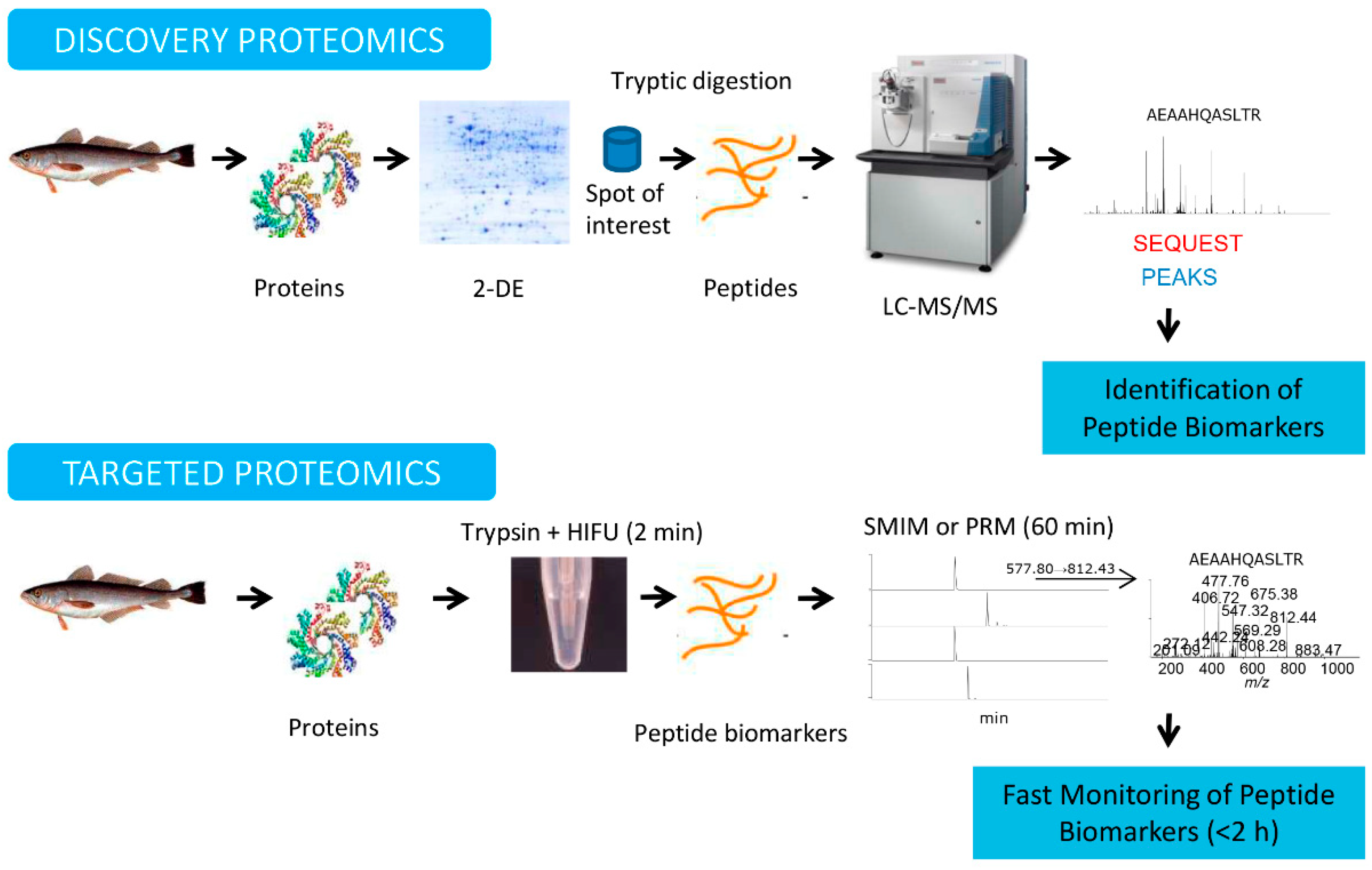 Foods 09 01134 g002 Foods 09 01134 g002