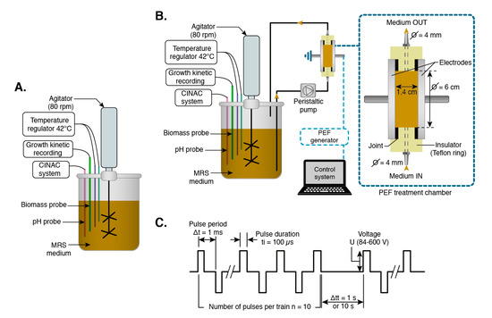 Foods Free Full Text Effect Of Pulsed Electric Fields On The Growth And Acidification Kinetics Of Lactobacillus Delbrueckii Subsp Bulgaricus
