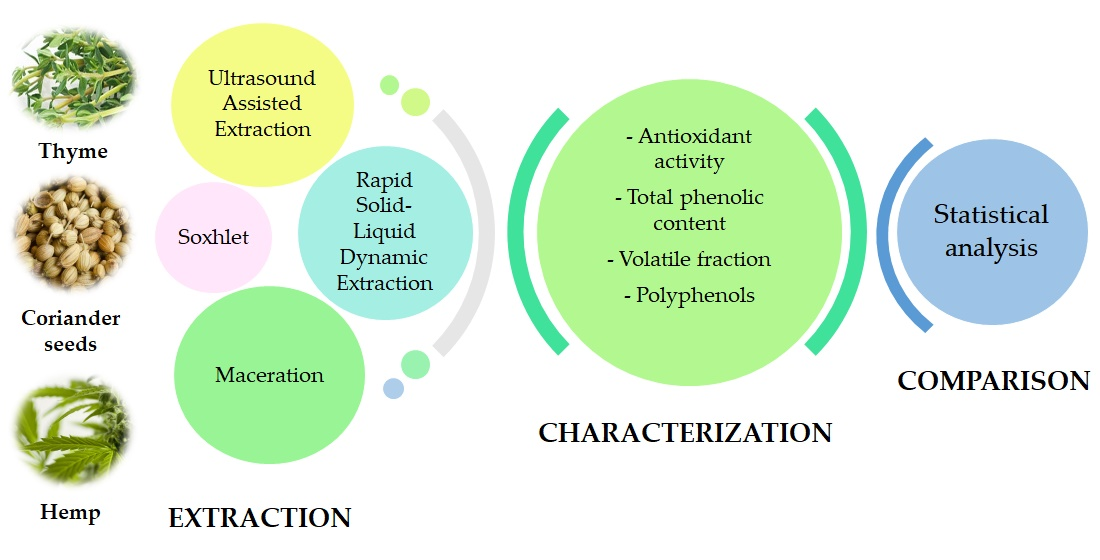 Extract examples. Antioxidant activity. Antioxidant Plants. Wheat antioxidants. Валюта курсы antioxidant.