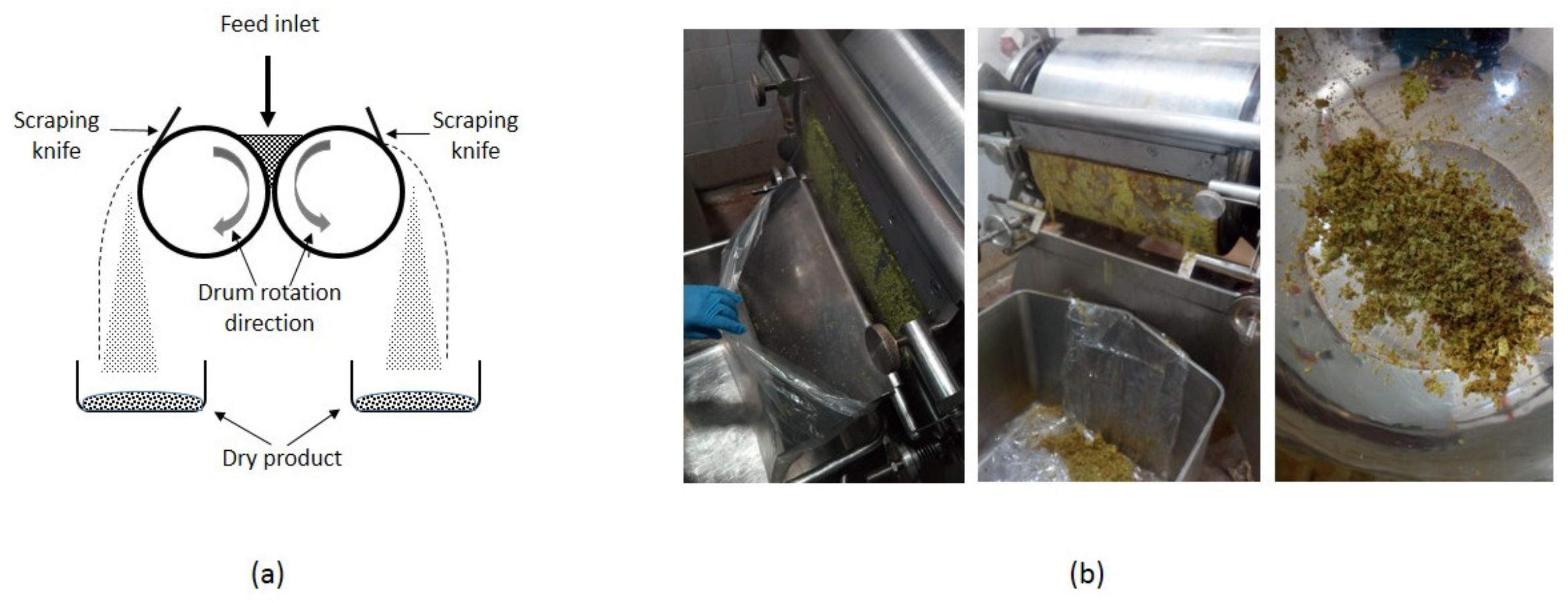 Foods Free FullText Effect of DrumDrying Conditions on the