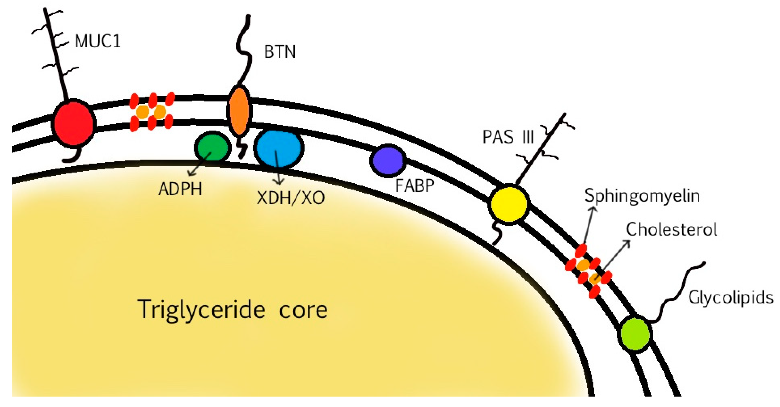 Foods 09 01251 g002 Foods 09 01251 g002