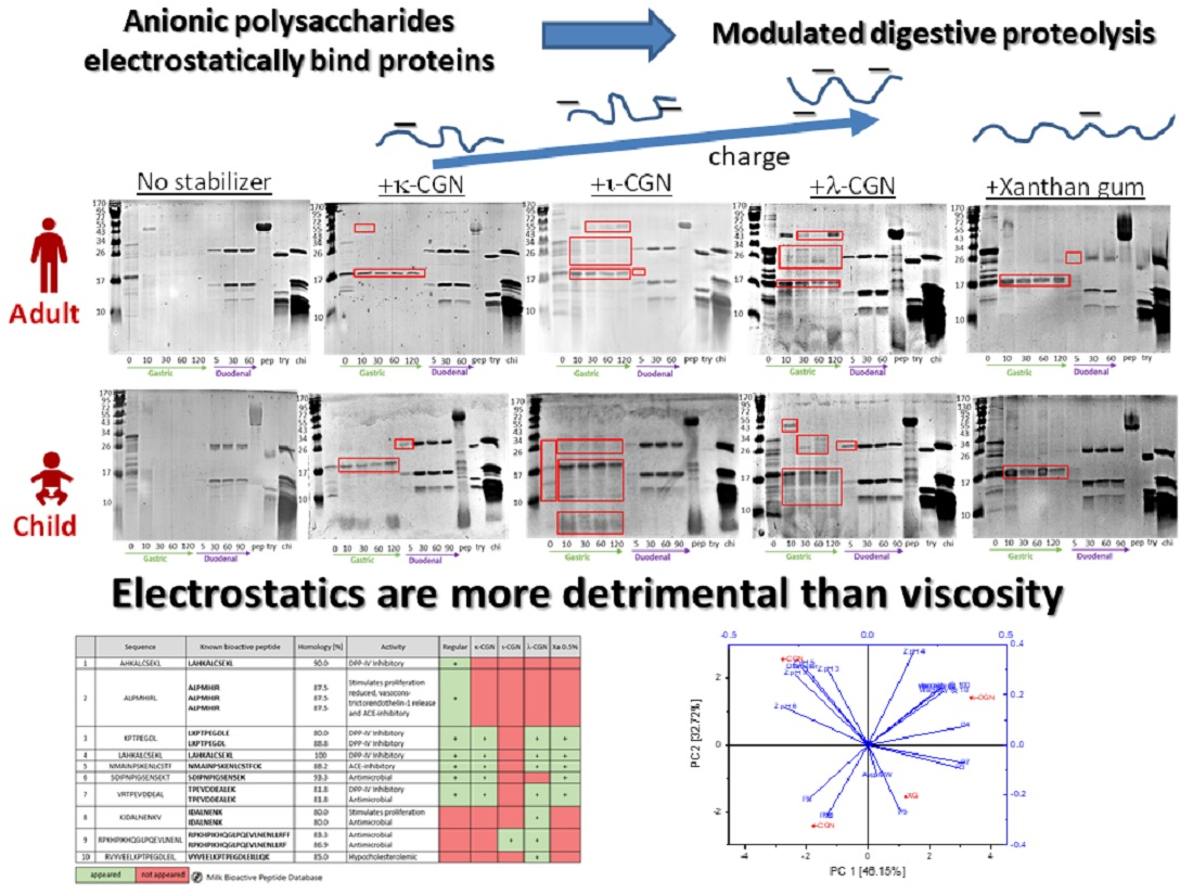 Foods Free FullText Addition of Anionic Polysaccharide Stabilizers