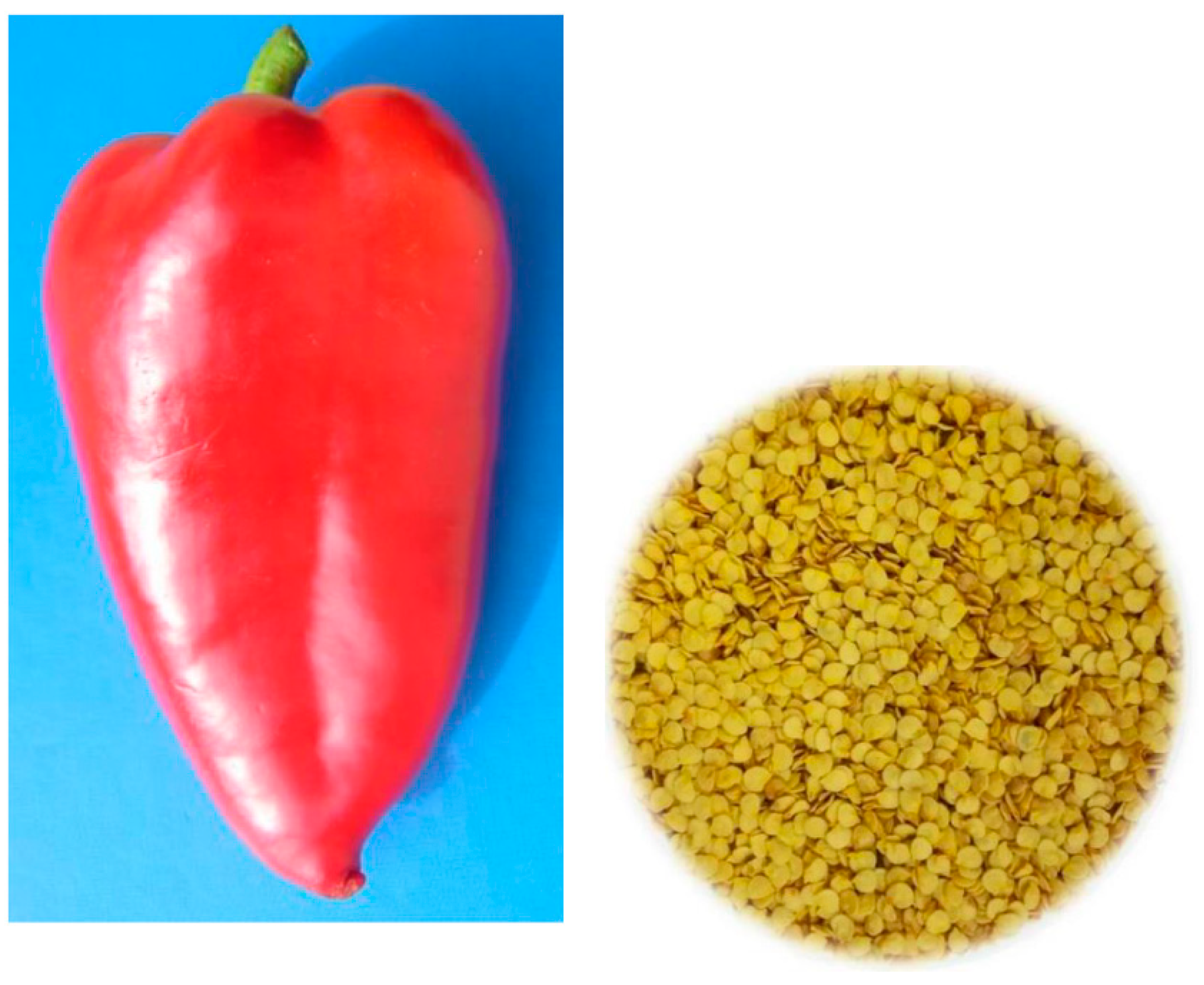 Foods Free Full Text Podravka And Slavonka Varieties Of Pepper Seeds Capsicum Annuum L As A New Source Of Highly Nutritional Edible Oil Html