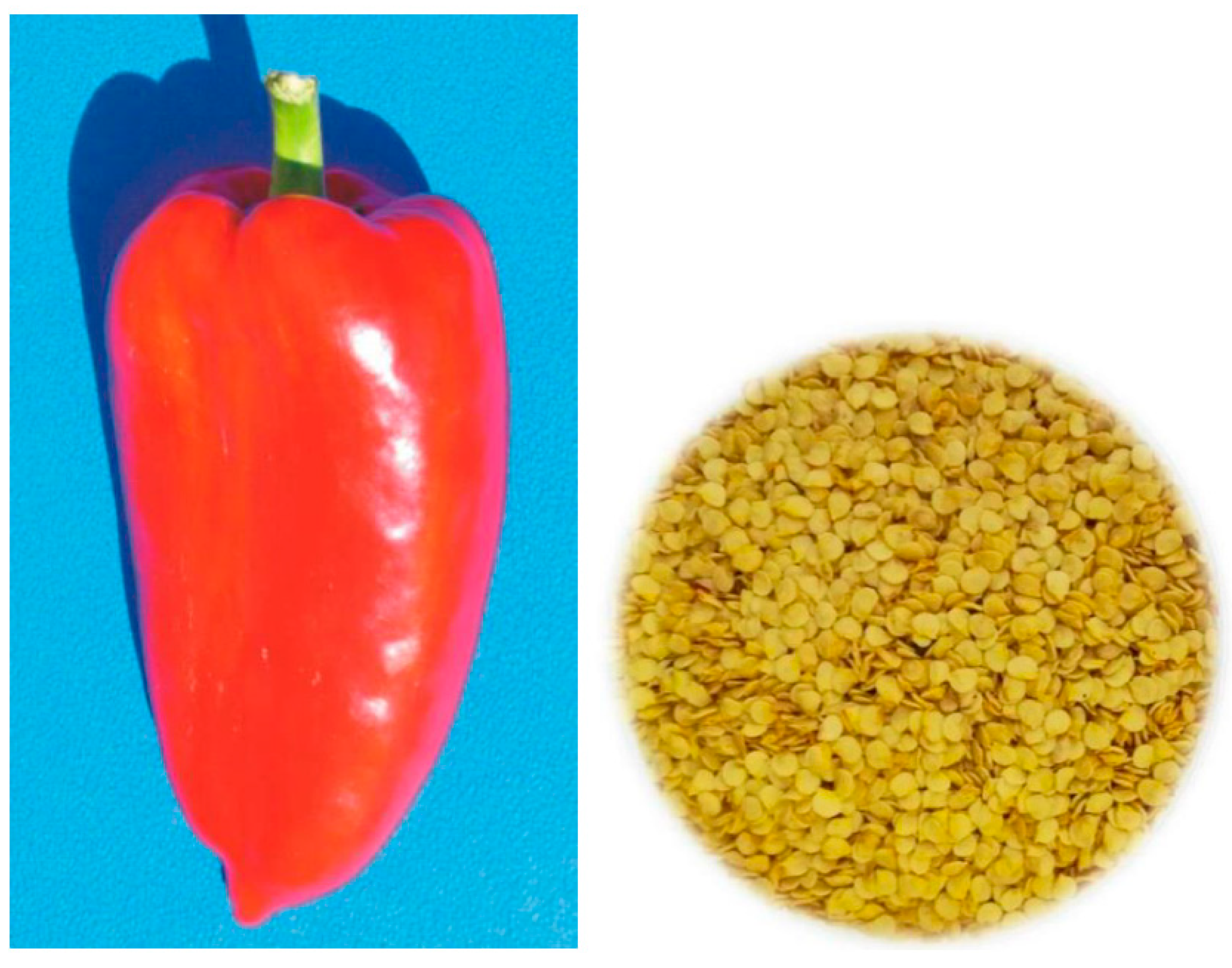 Foods Free Full Text Podravka And Slavonka Varieties Of Pepper Seeds Capsicum Annuum L As A New Source Of Highly Nutritional Edible Oil Html