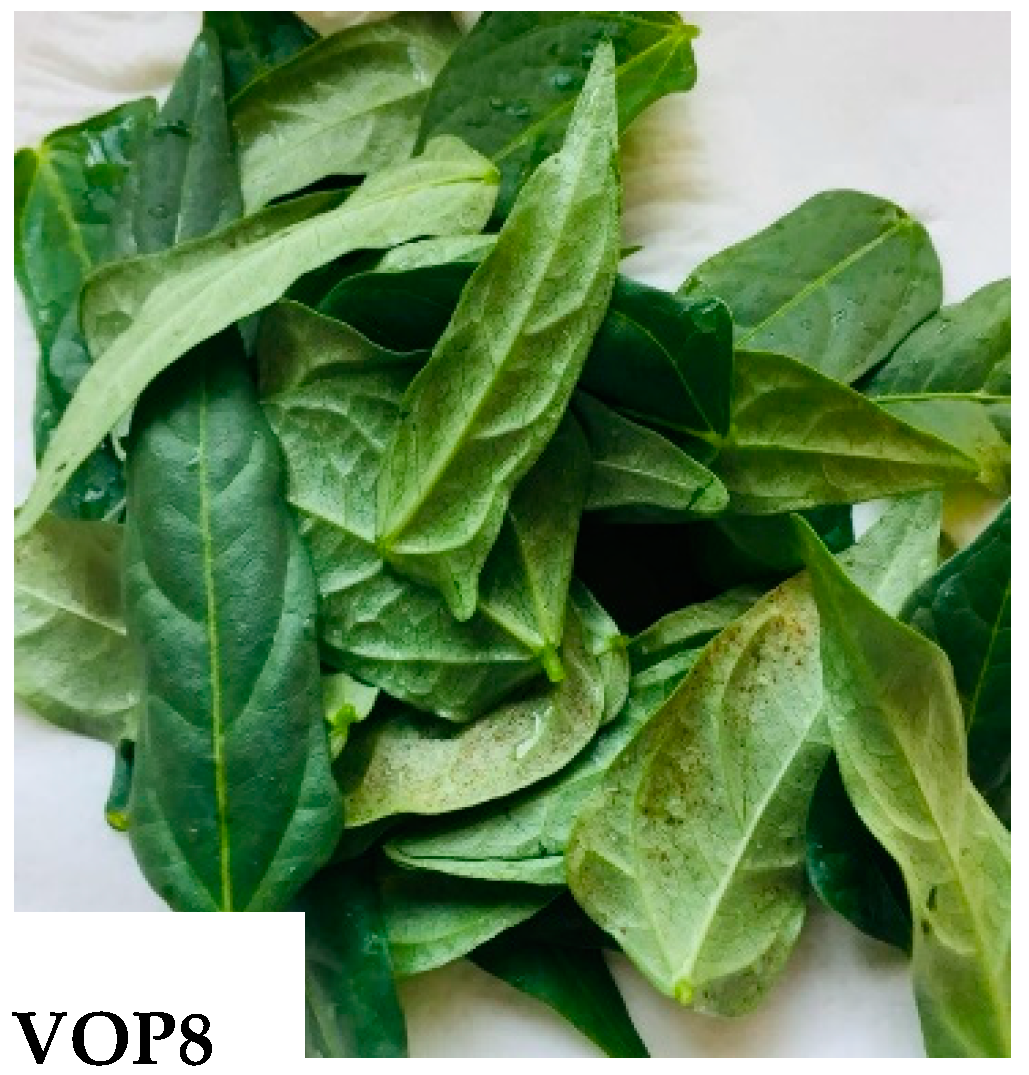 Foods 09 01285 g001b