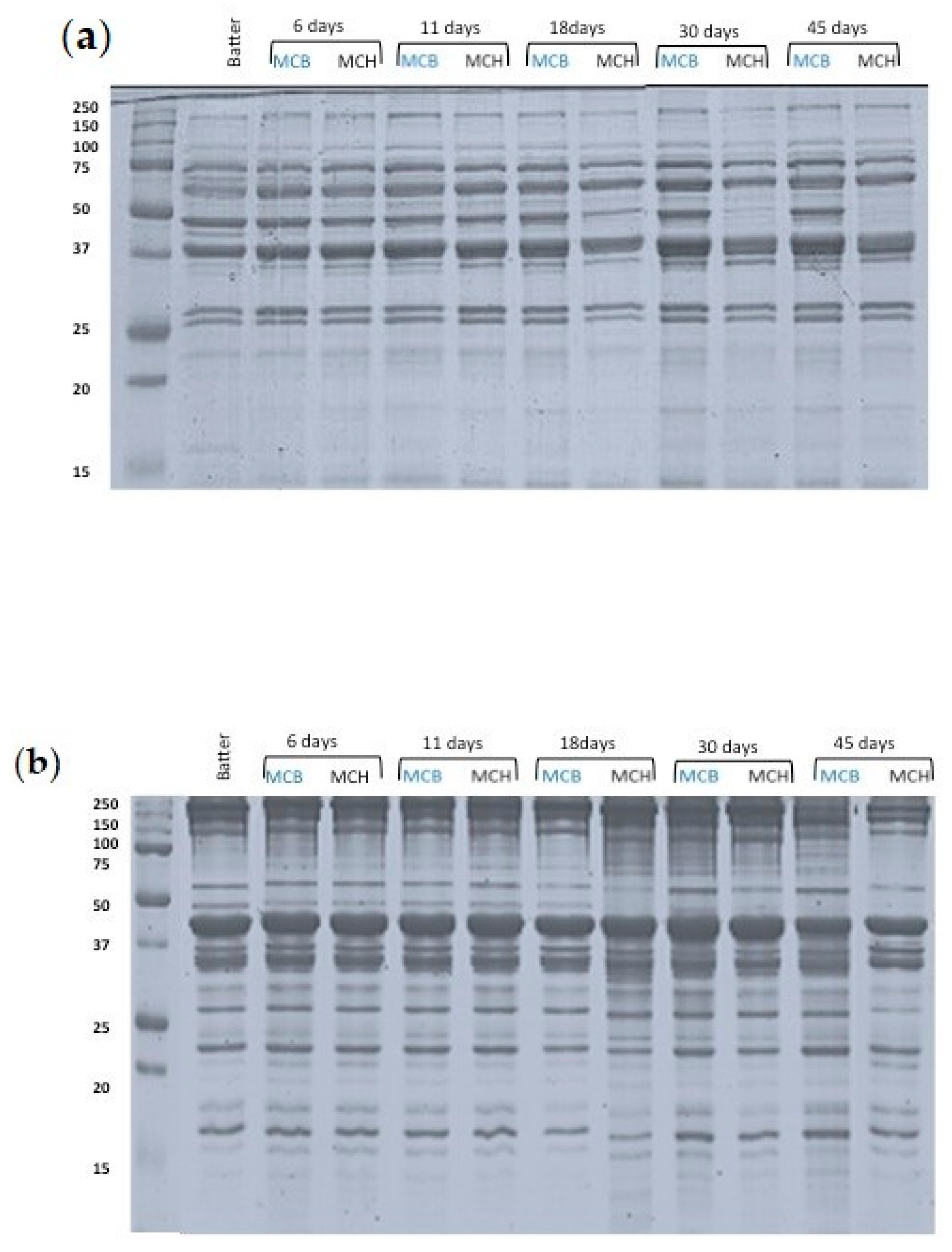 Foods 09 01286 g002 Foods 09 01286 g002