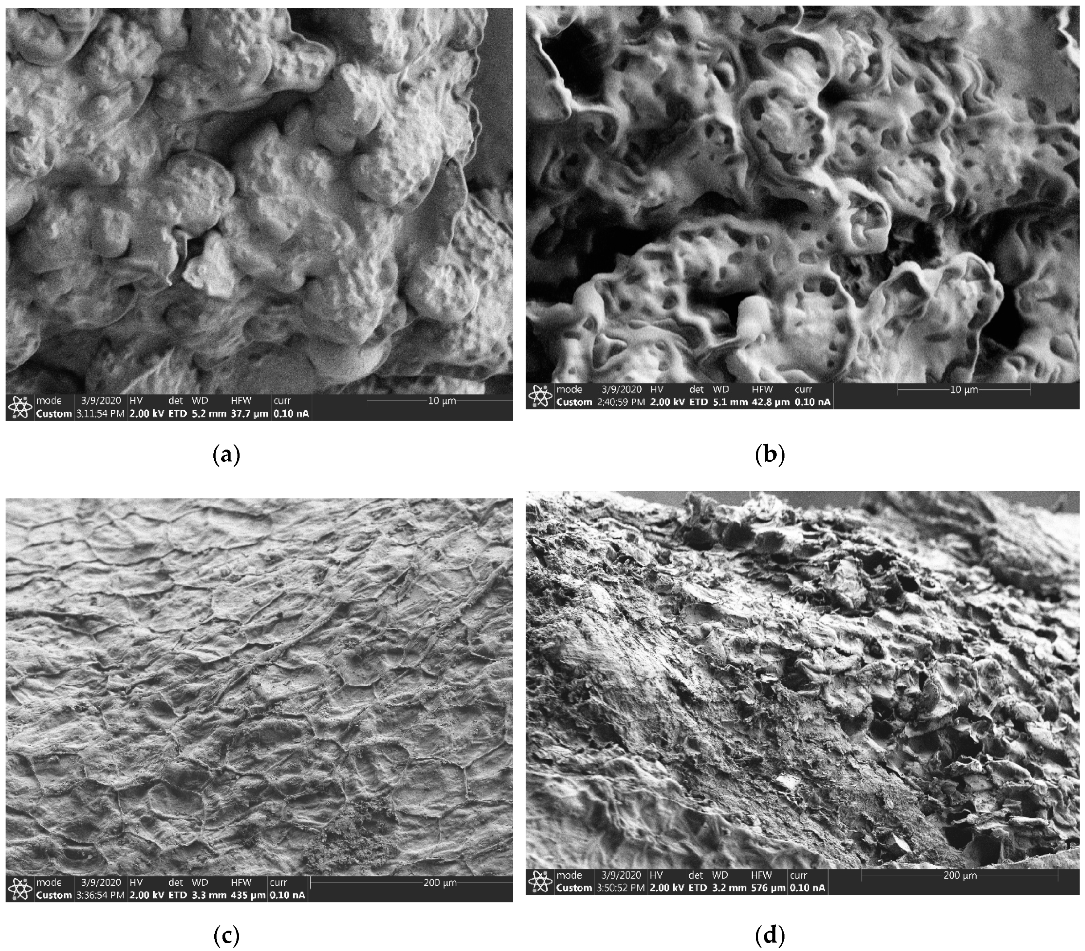 Foods 09 01287 g002 Foods 09 01287 g002