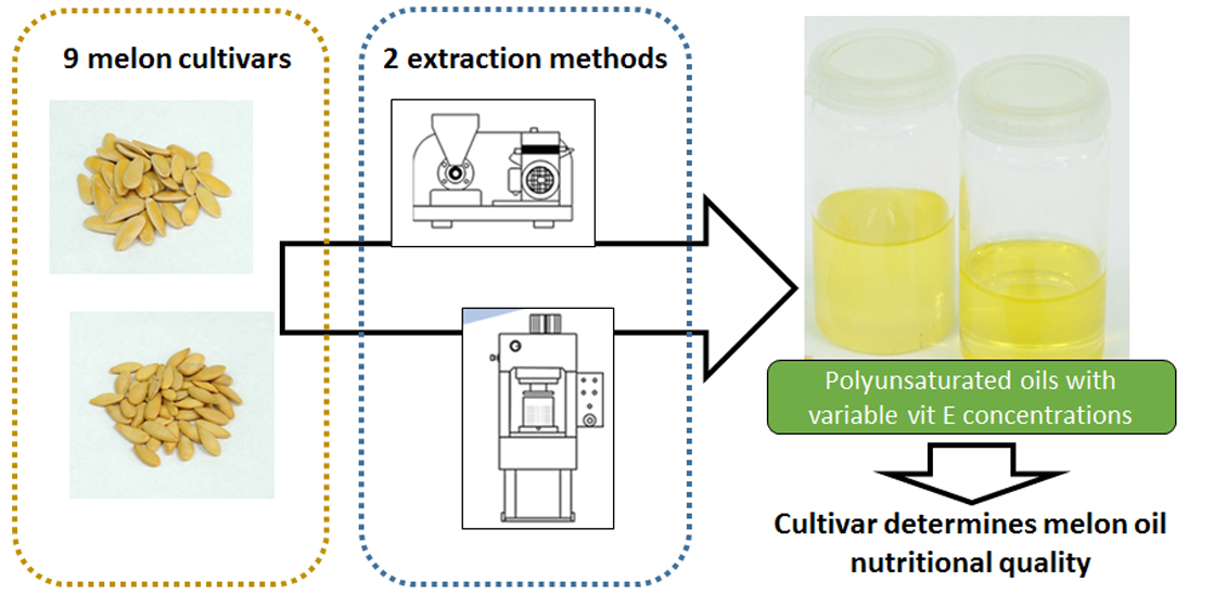 Foods Free Full Text From By Product To The Food Chain Melon Cucumis Melo L Seeds As Potential Source For Oils Html
