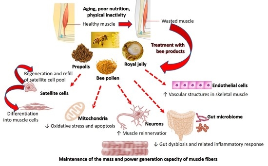 hihetetlen anti aging krém anti aging dermomaszk