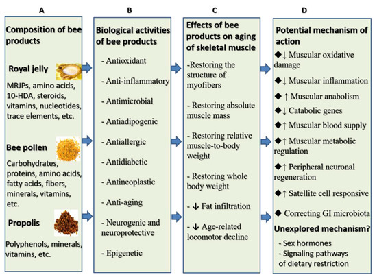 Revista Medicala | PDF | Ageing | Medicine