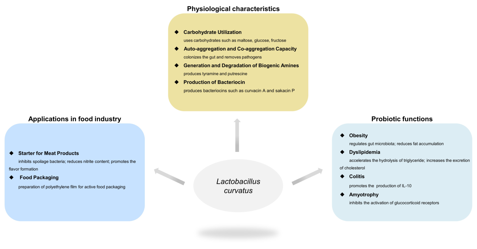 Foods Free Full Text Latilactobacillus Curvatus A Candidate Probiotic With Excellent Fermentation Properties And Health Benefits Html