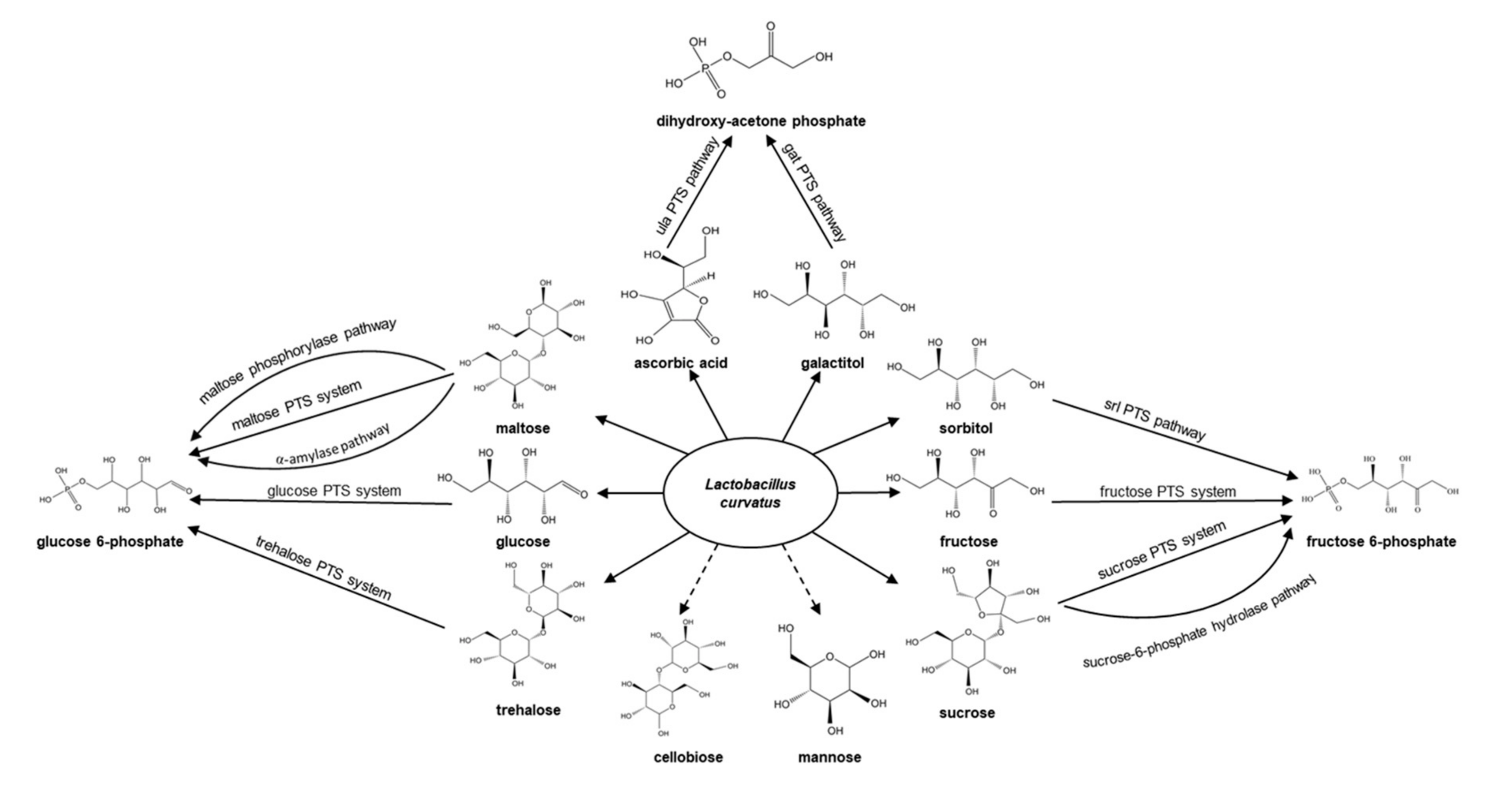 Foods 09 01366 g002 Foods 09 01366 g002