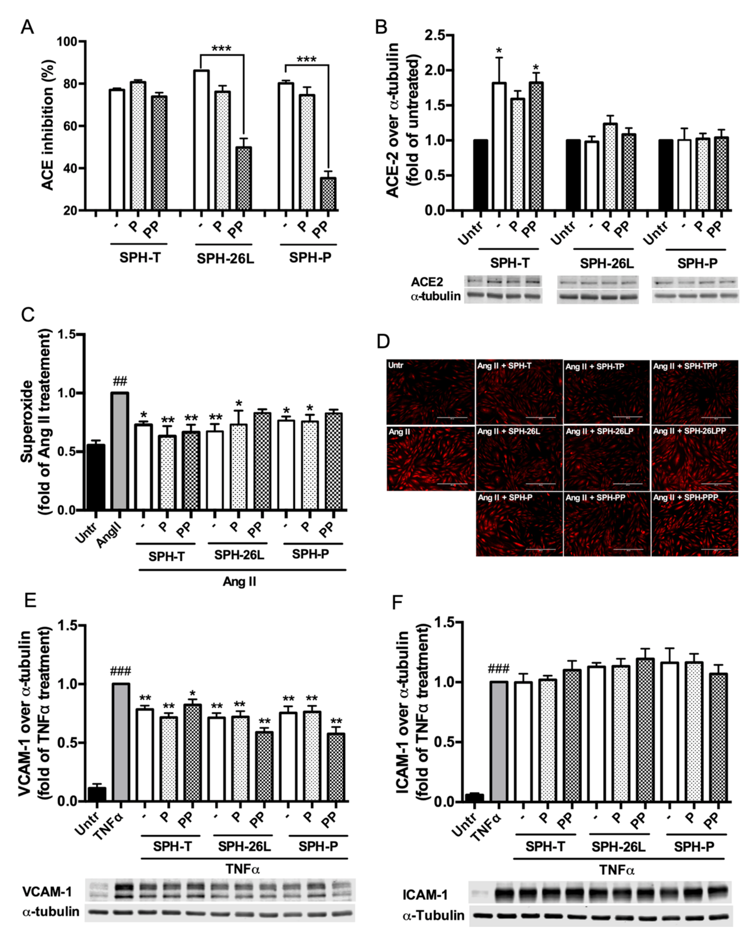 Foods 09 01384 g002 Foods 09 01384 g002