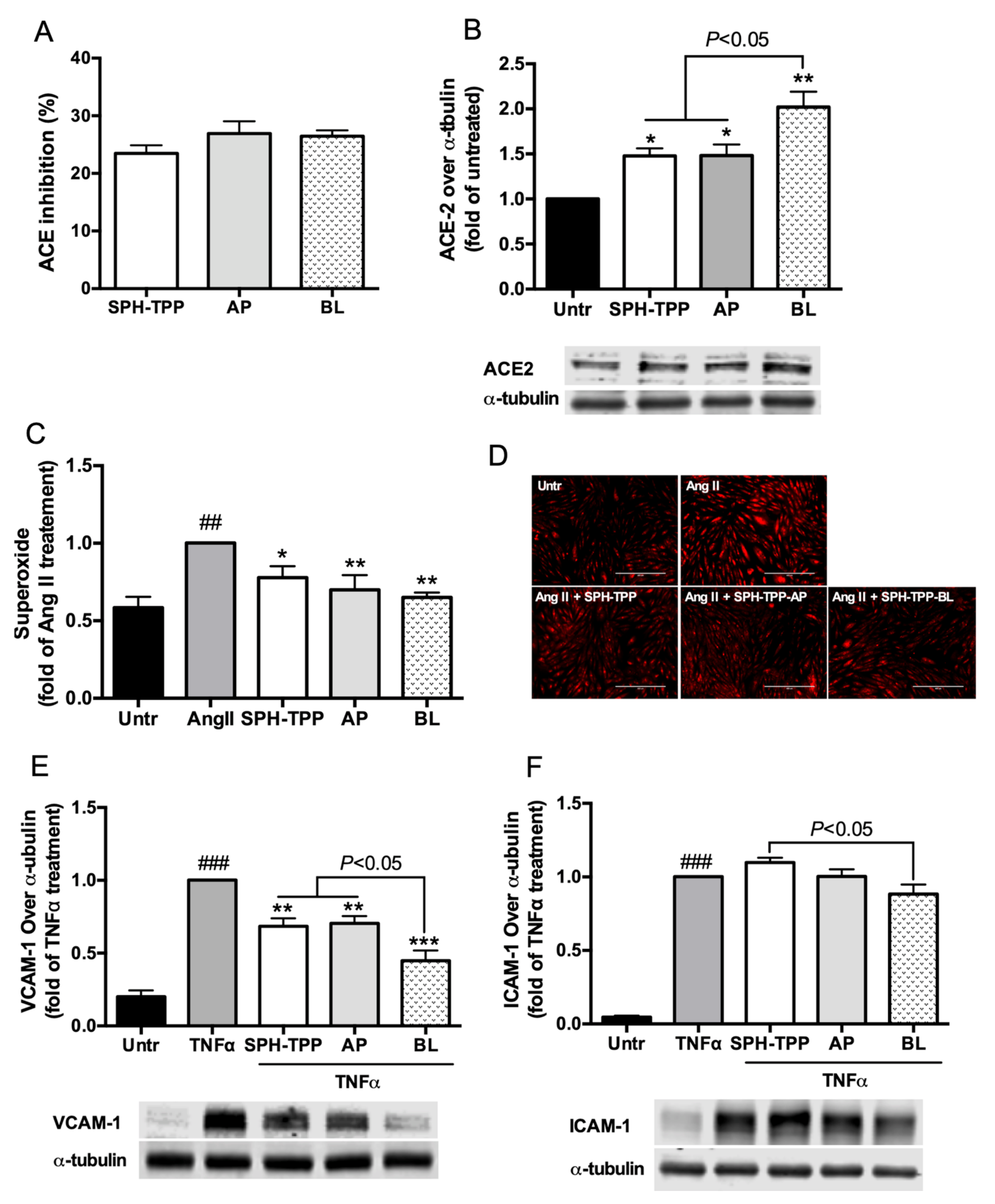 Foods 09 01384 g004 Foods 09 01384 g004