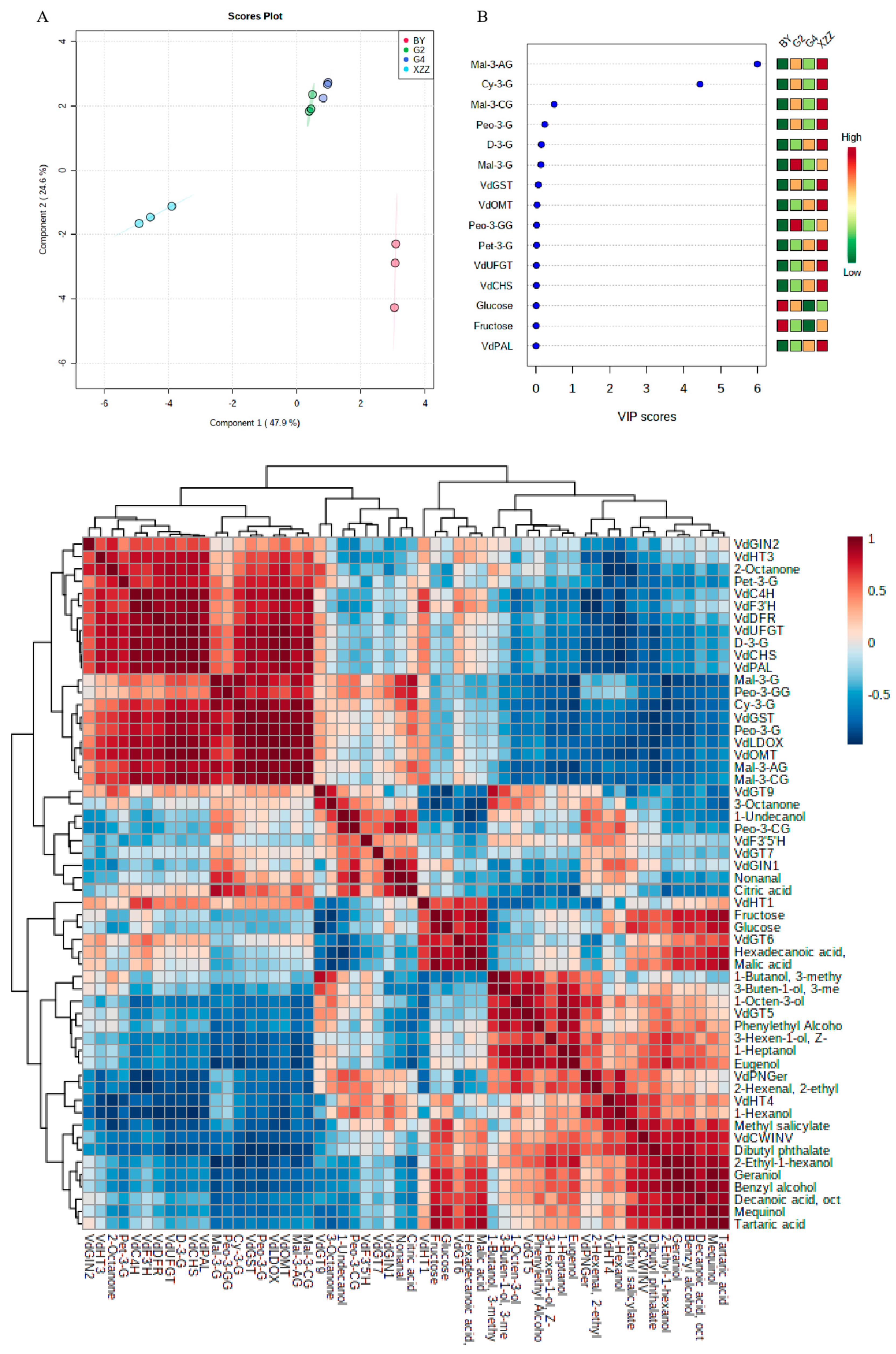 Foods 09 01387 g004 Foods 09 01387 g004