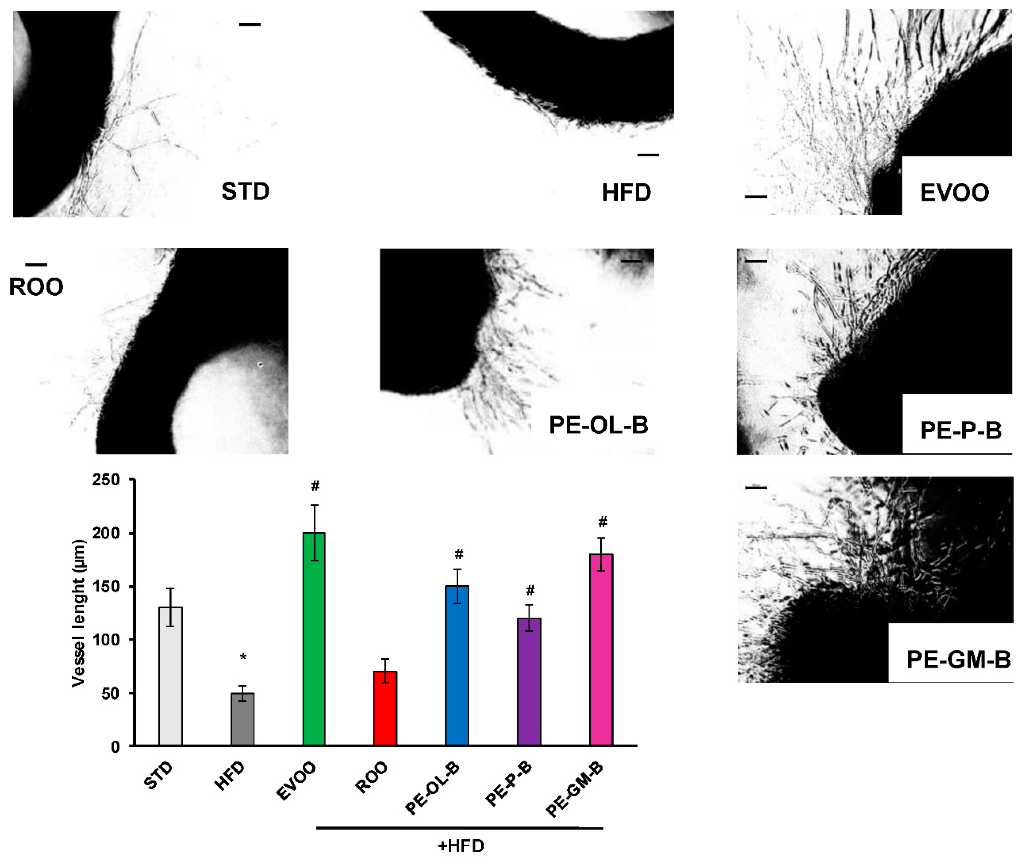 Foods 09 01390 g009 Foods 09 01390 g009