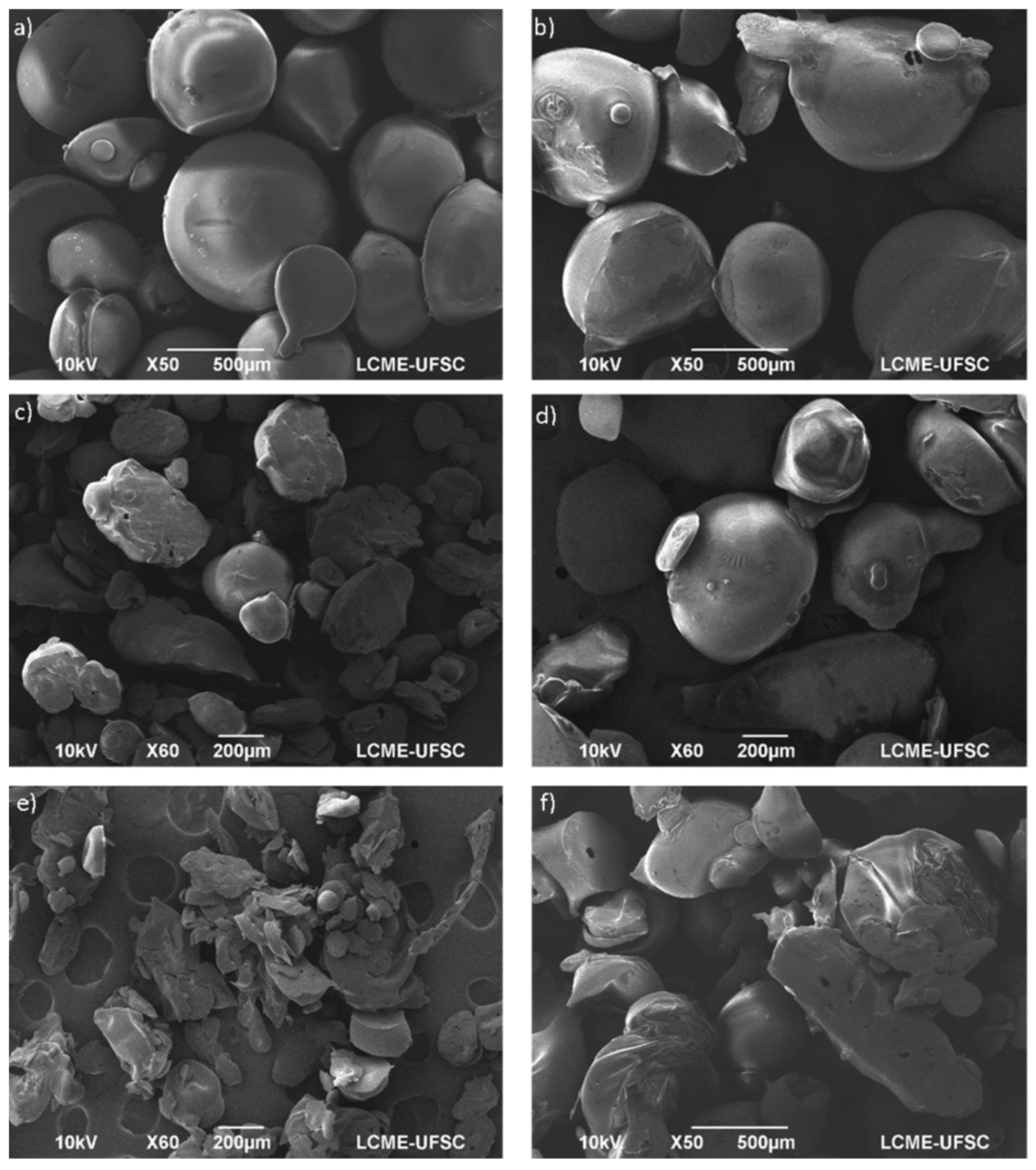 Foods 09 01395 g004 Foods 09 01395 g004