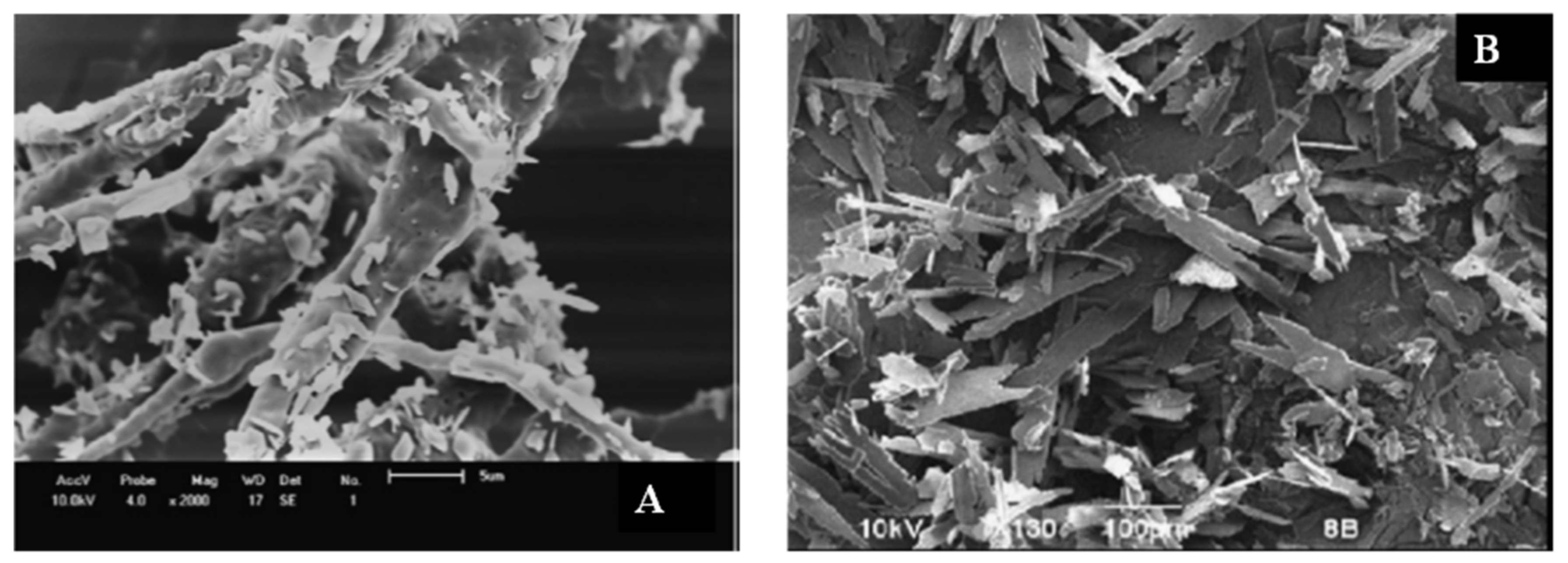 Foods 09 01395 g006 Foods 09 01395 g006