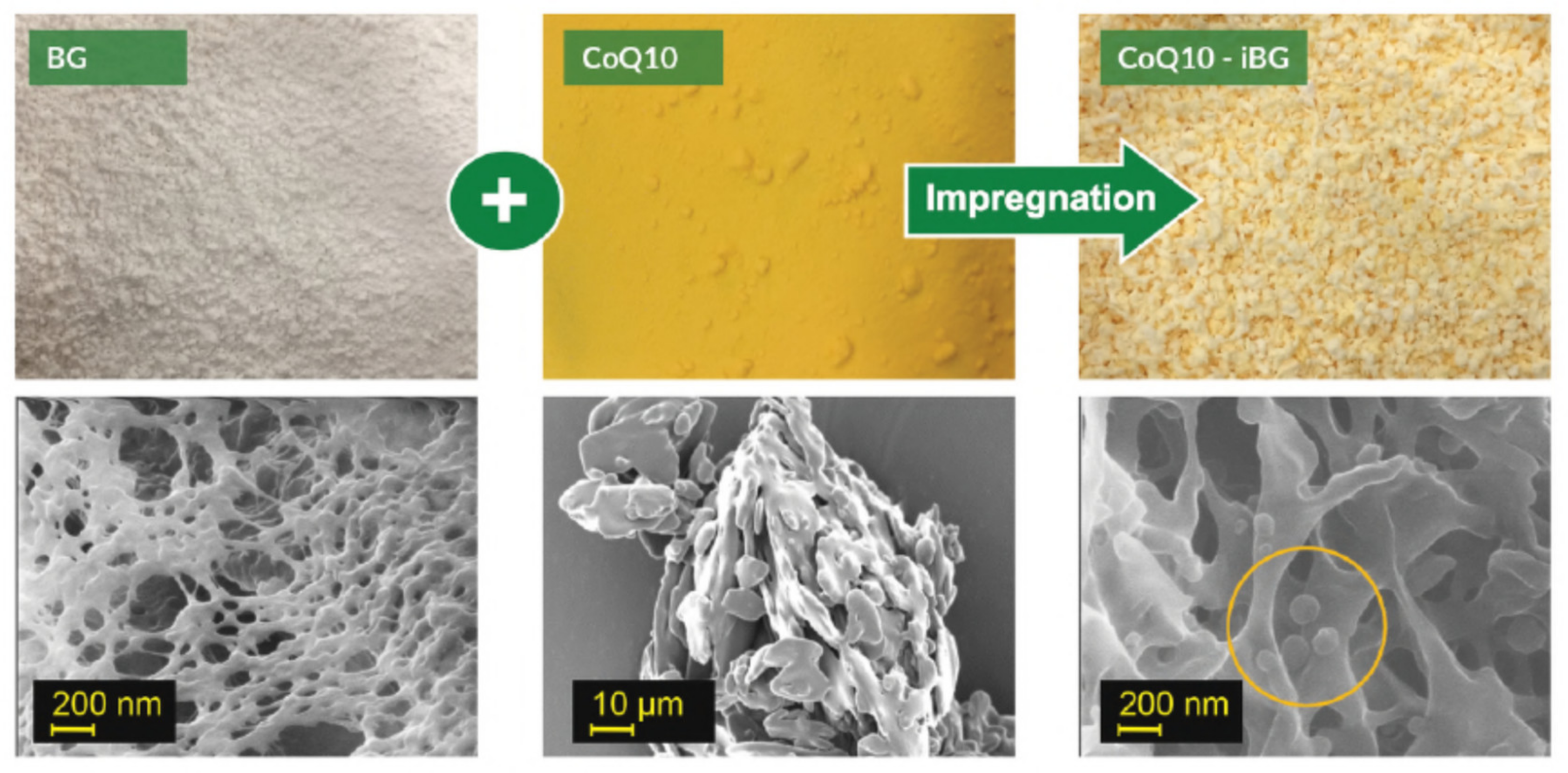 Foods 09 01395 g008 Foods 09 01395 g008