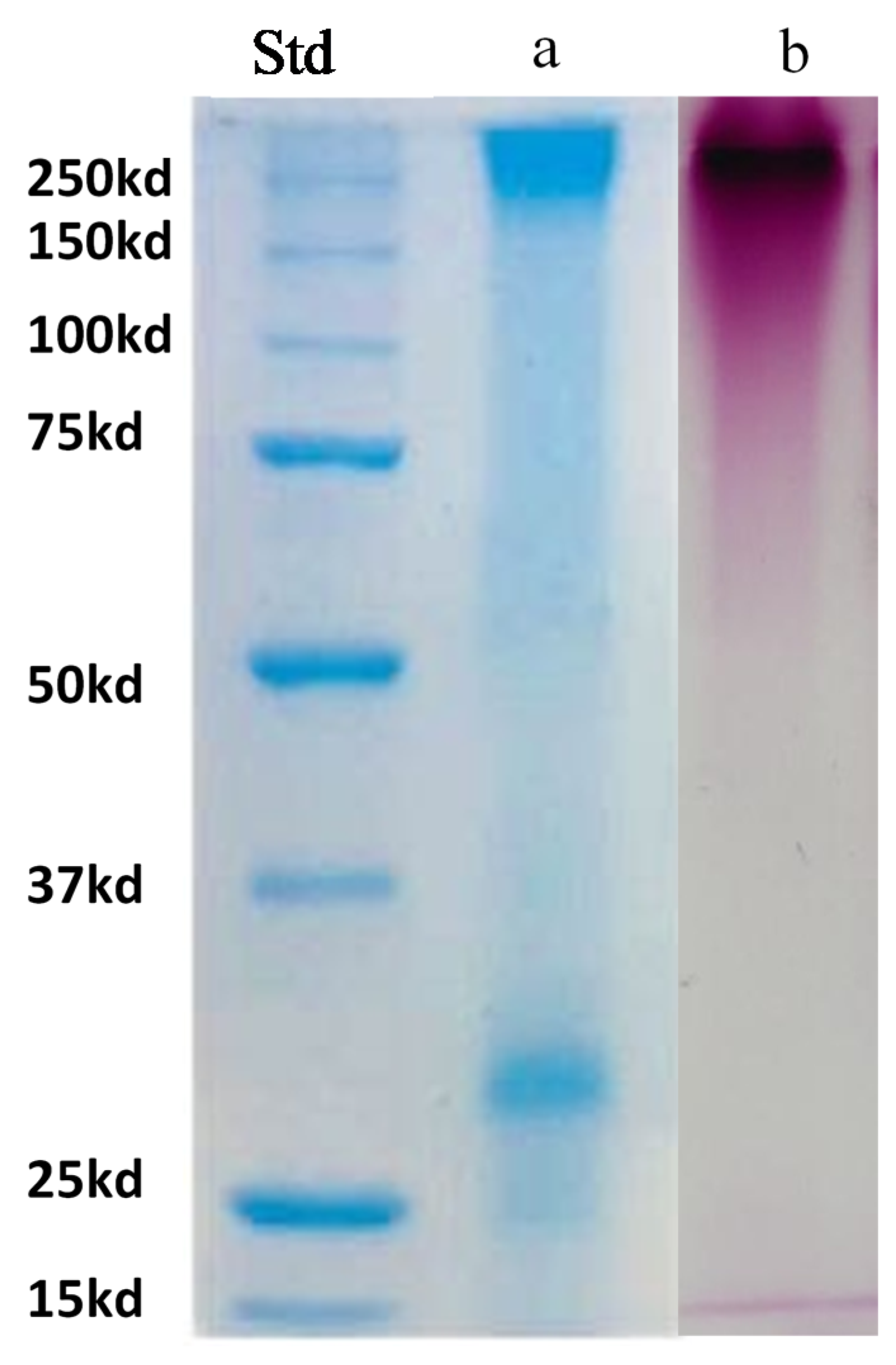 Foods 09 01407 g002 Foods 09 01407 g002