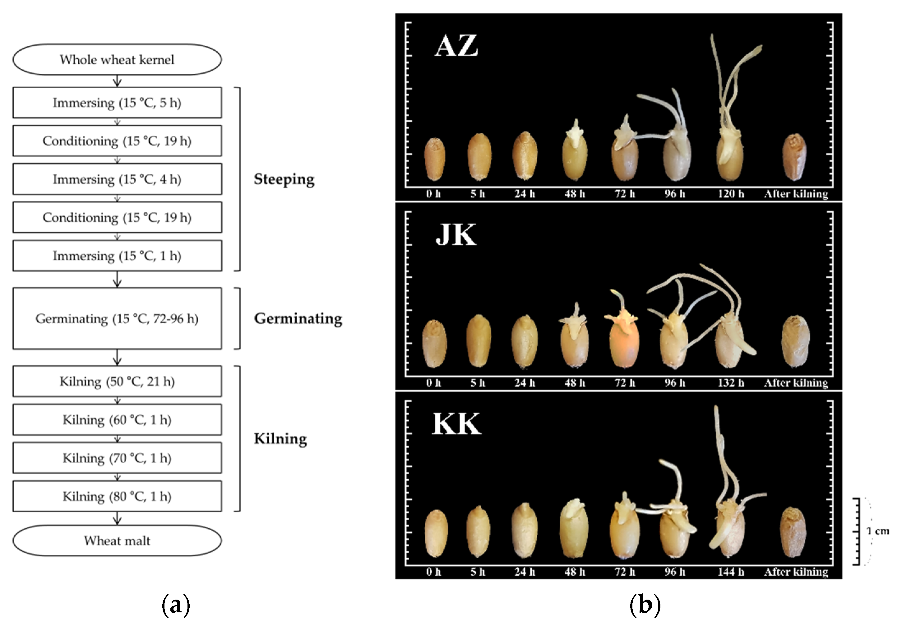 Foods 09 01436 g001 Foods 09 01436 g001