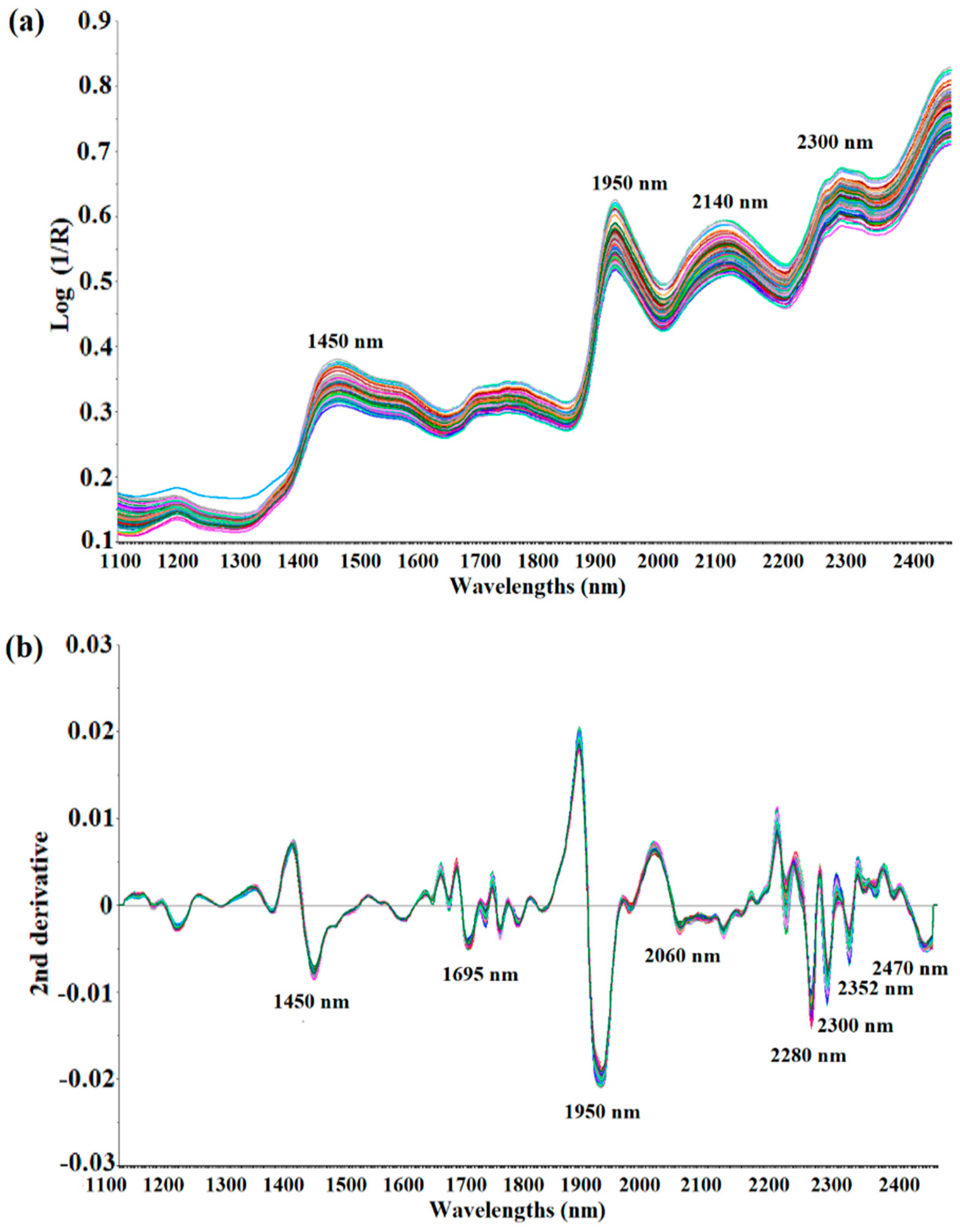 Foods 09 01437 g002 Foods 09 01437 g002