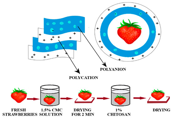 Biodegradable Antimicrobial Food Packaging: Trends and