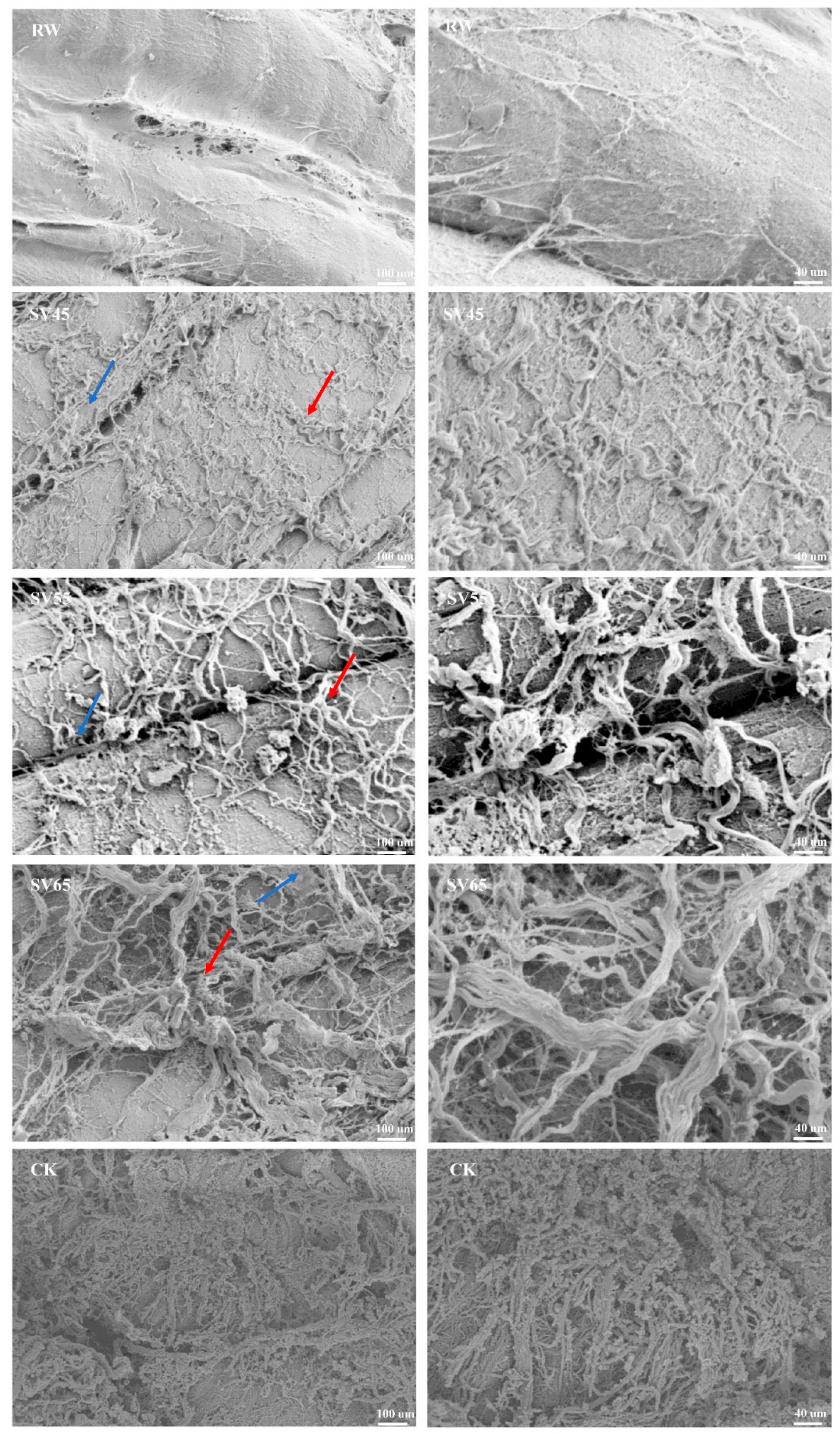 Foods 09 01441 g004 Foods 09 01441 g004