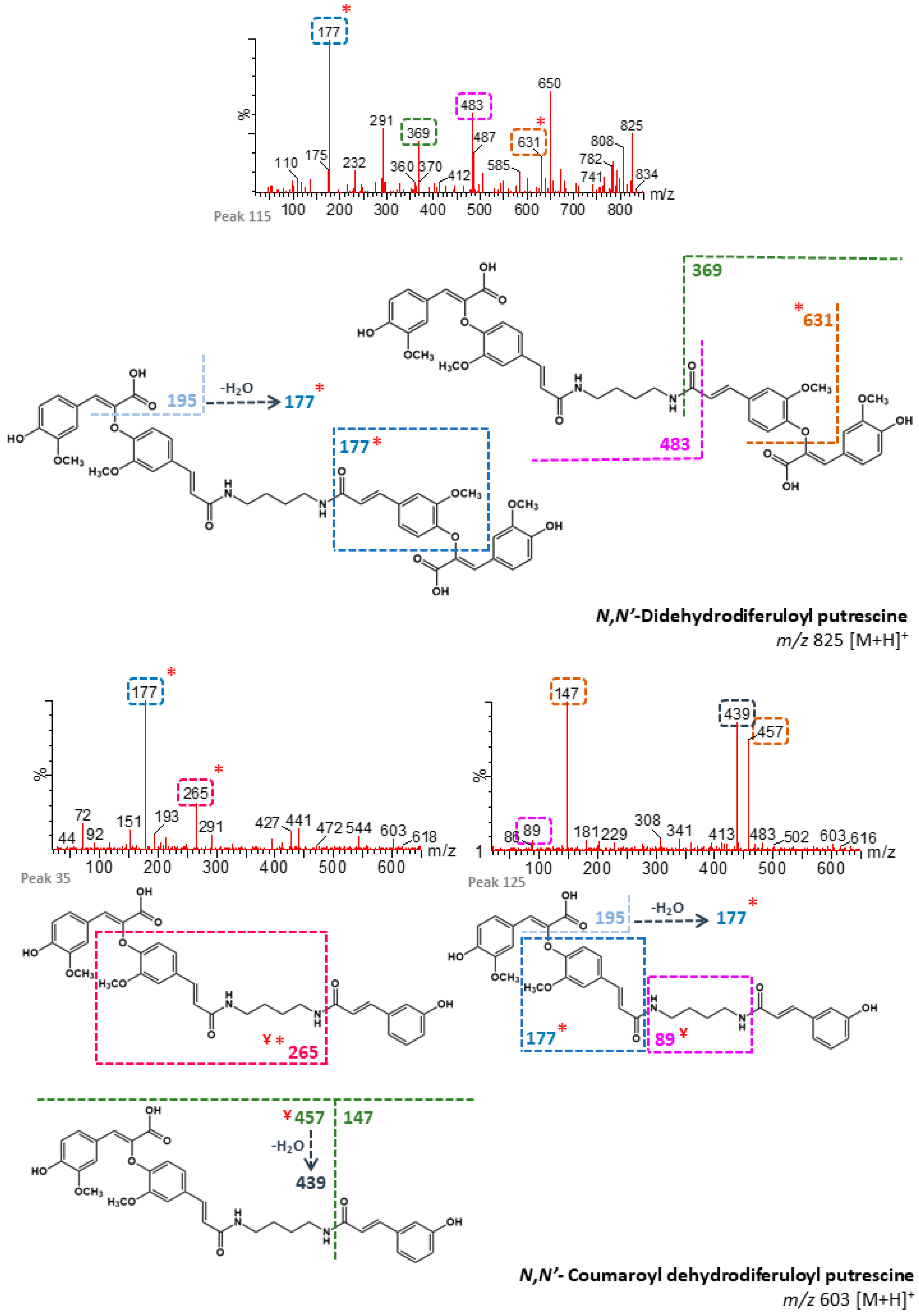 Foods 09 01471 g004b Foods 09 01471 g004b