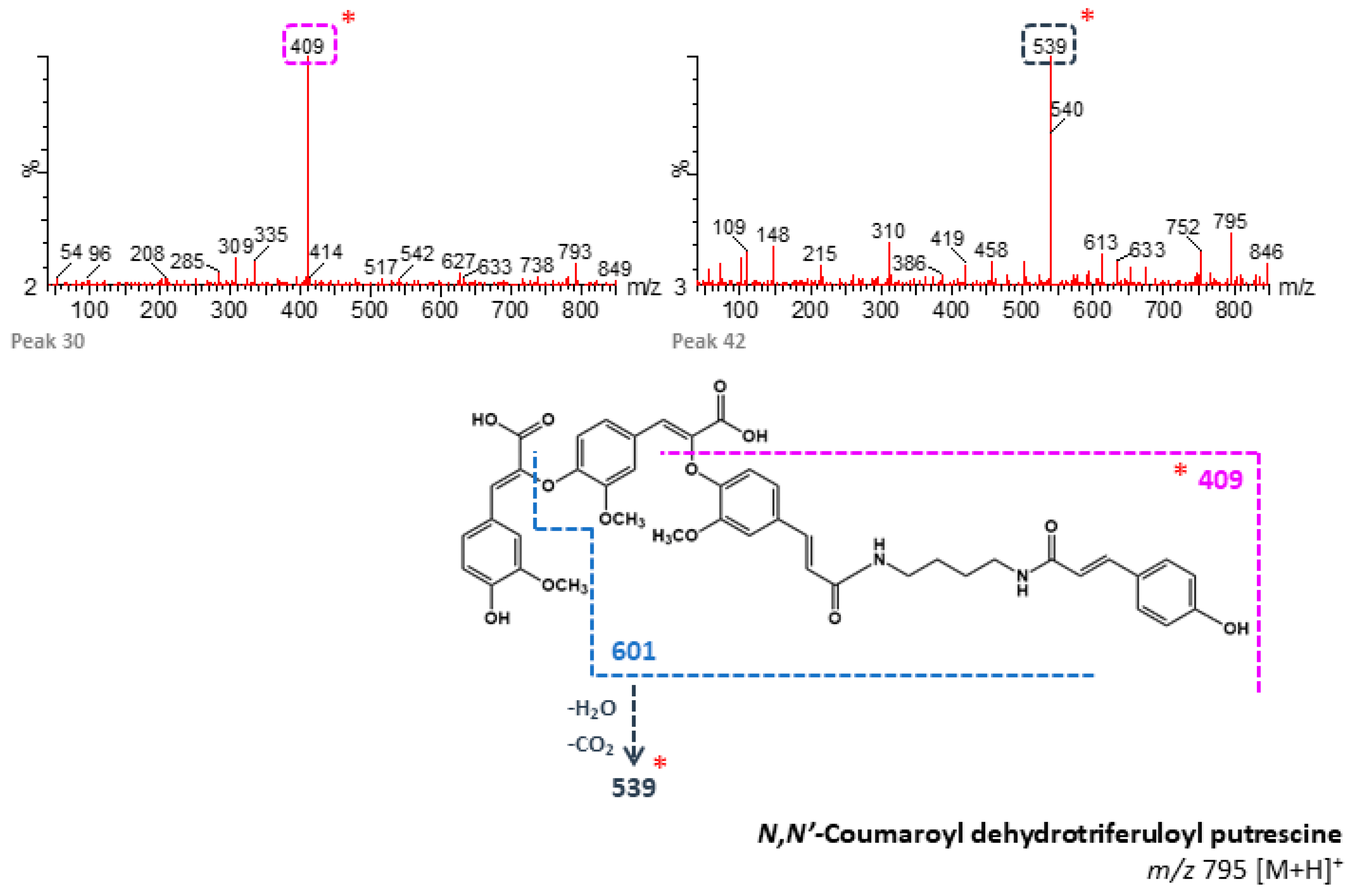 Foods 09 01471 g005b Foods 09 01471 g005b