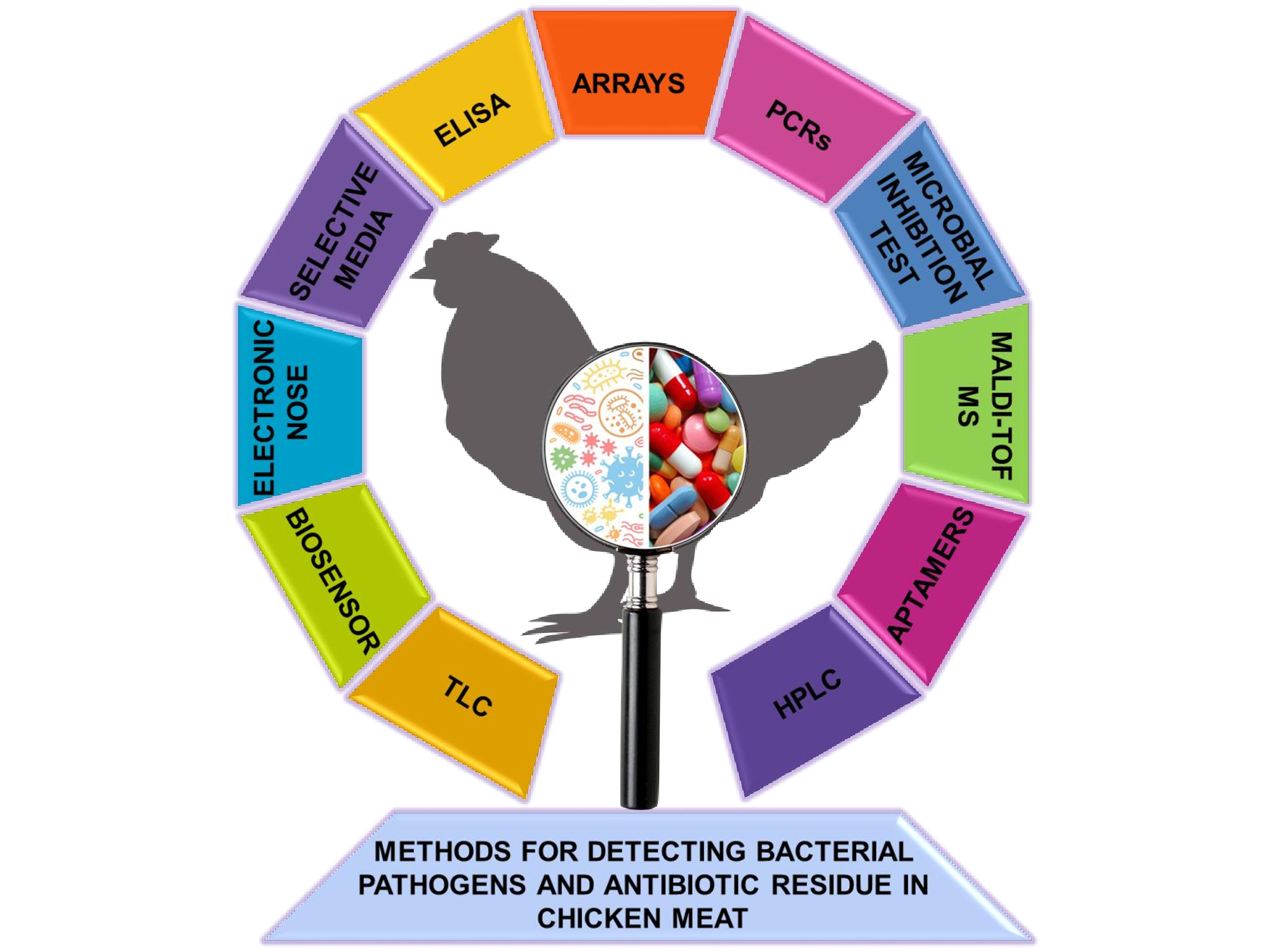Foods Free FullText Detection of Bacterial Pathogens and