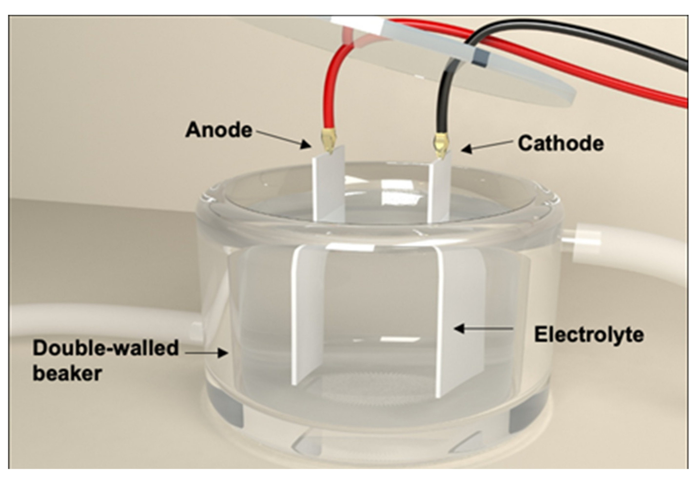 Foods 09 01518 g001 Foods 09 01518 g001