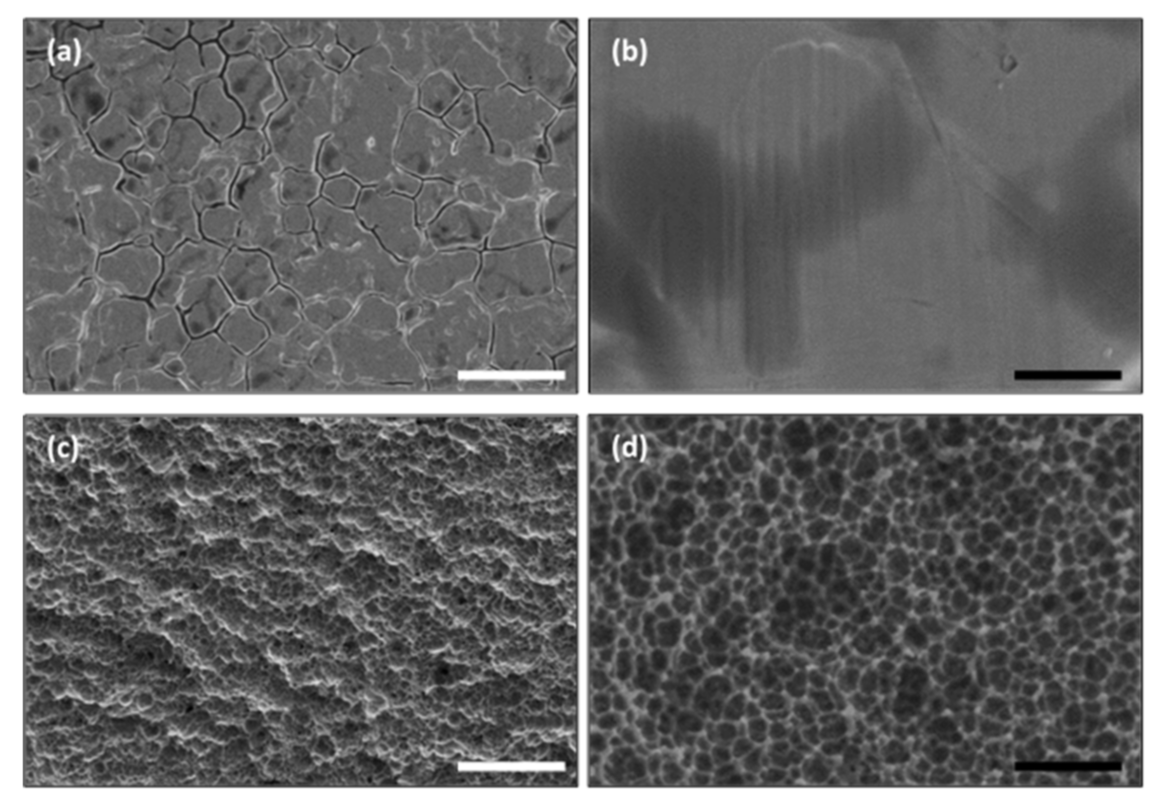 Foods 09 01518 g002 Foods 09 01518 g002