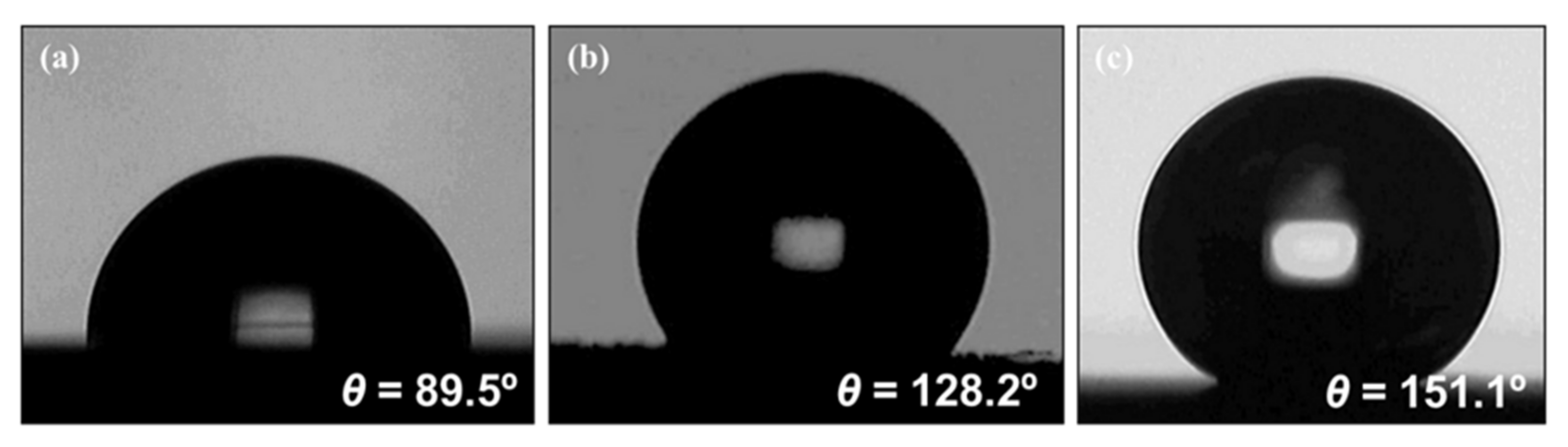 Foods 09 01518 g003 Foods 09 01518 g003