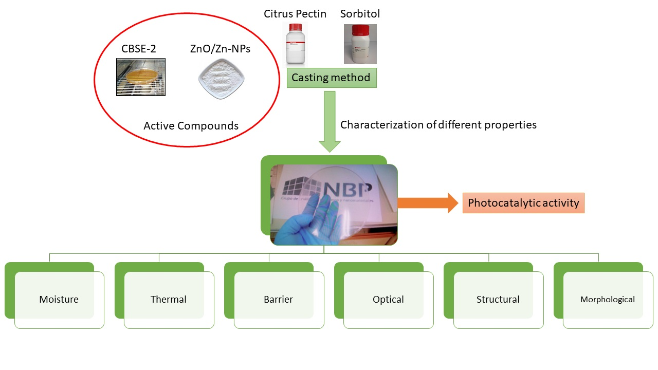 Foods Free Full Text Pectin Based Films With Cocoa Bean Shell Waste Extract And Zno Zn Nps With Enhanced Oxygen Barrier Ultraviolet Screen And Photocatalytic Properties Html