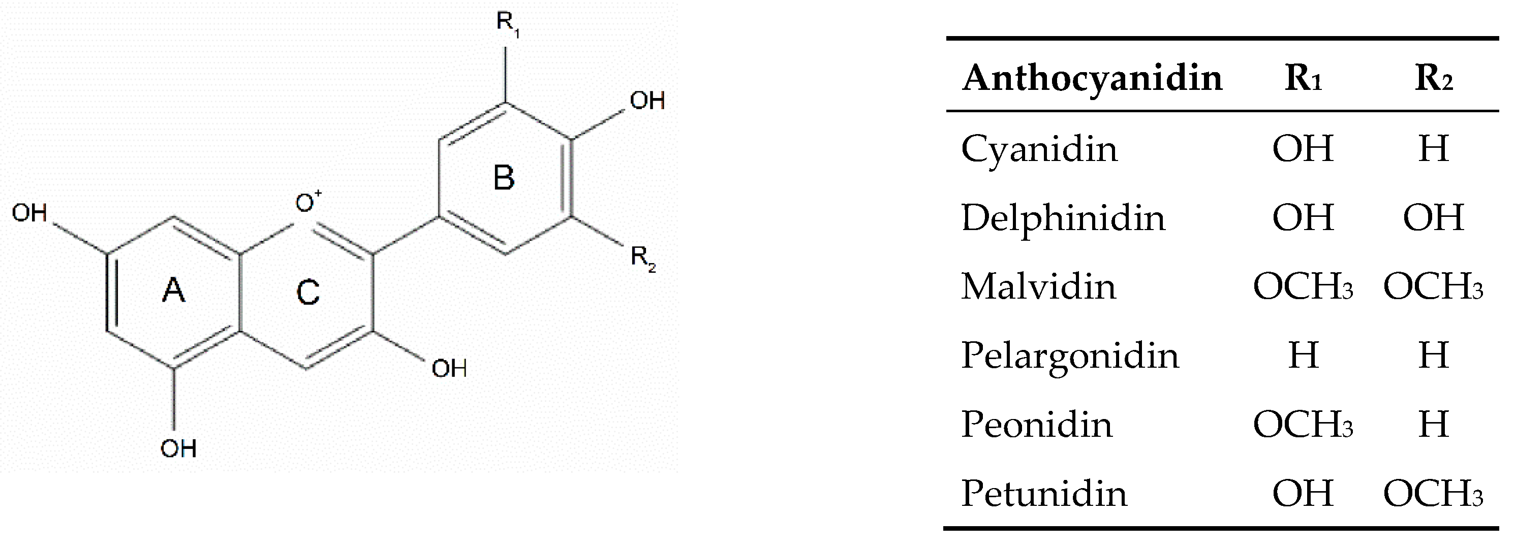 Foods 09 01595 g001 Foods 09 01595 g001