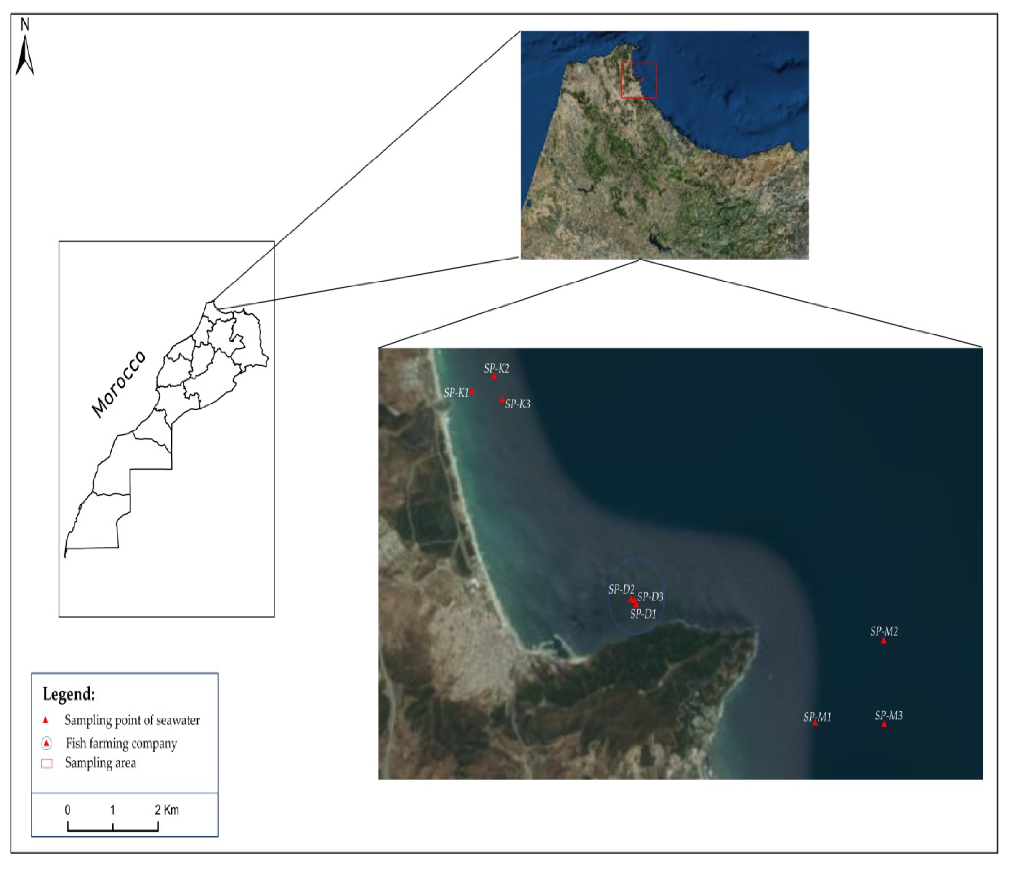 Foods 09 01601 g001 Foods 09 01601 g001